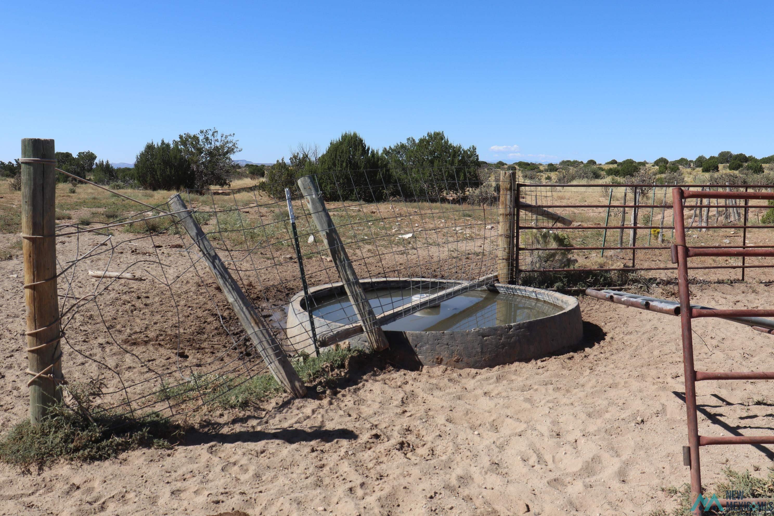 122 County Road B001 Road, Mountainair, Texas image 38