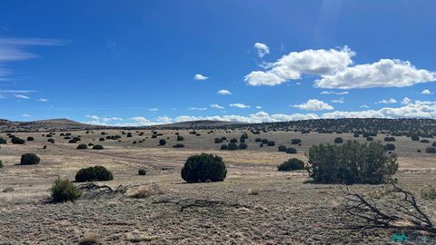 Vacant Land For Sale - TBD Deer Road<br/> Catron County, Quemado, NM 87829