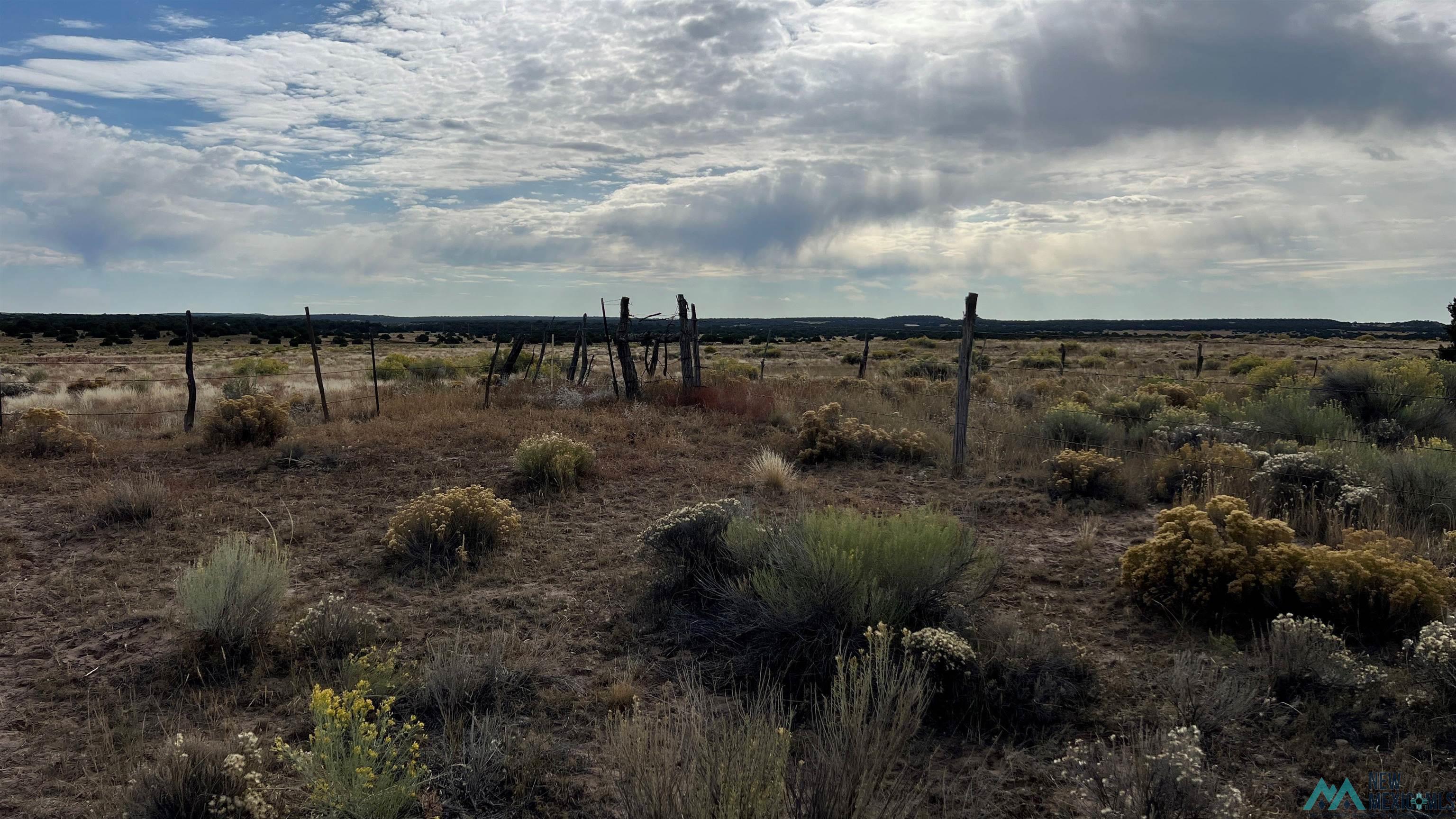 2315 Nm-36 Highway, Fence Lake, Texas image 48