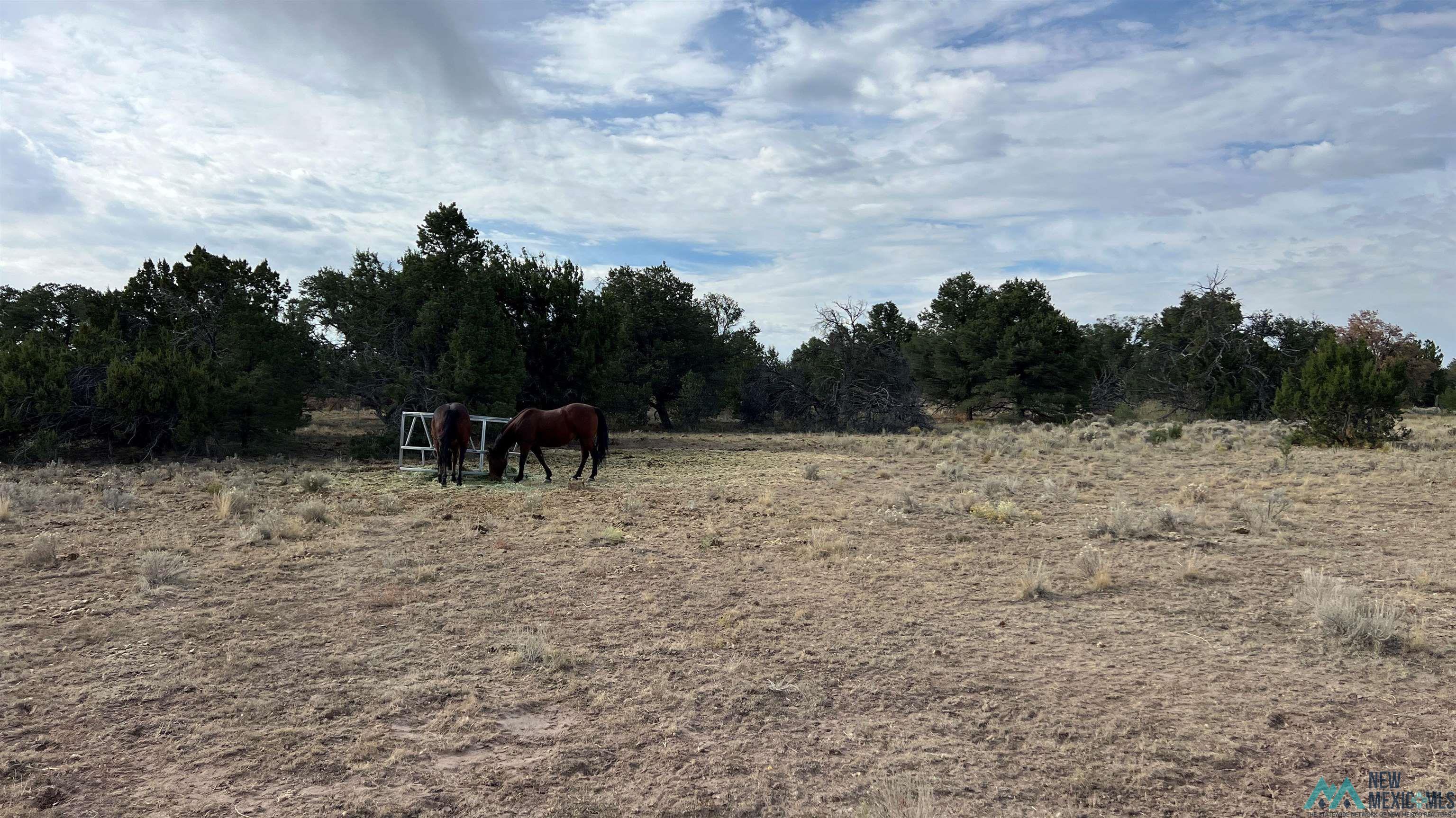 2315 Nm-36 Highway, Fence Lake, Texas image 47