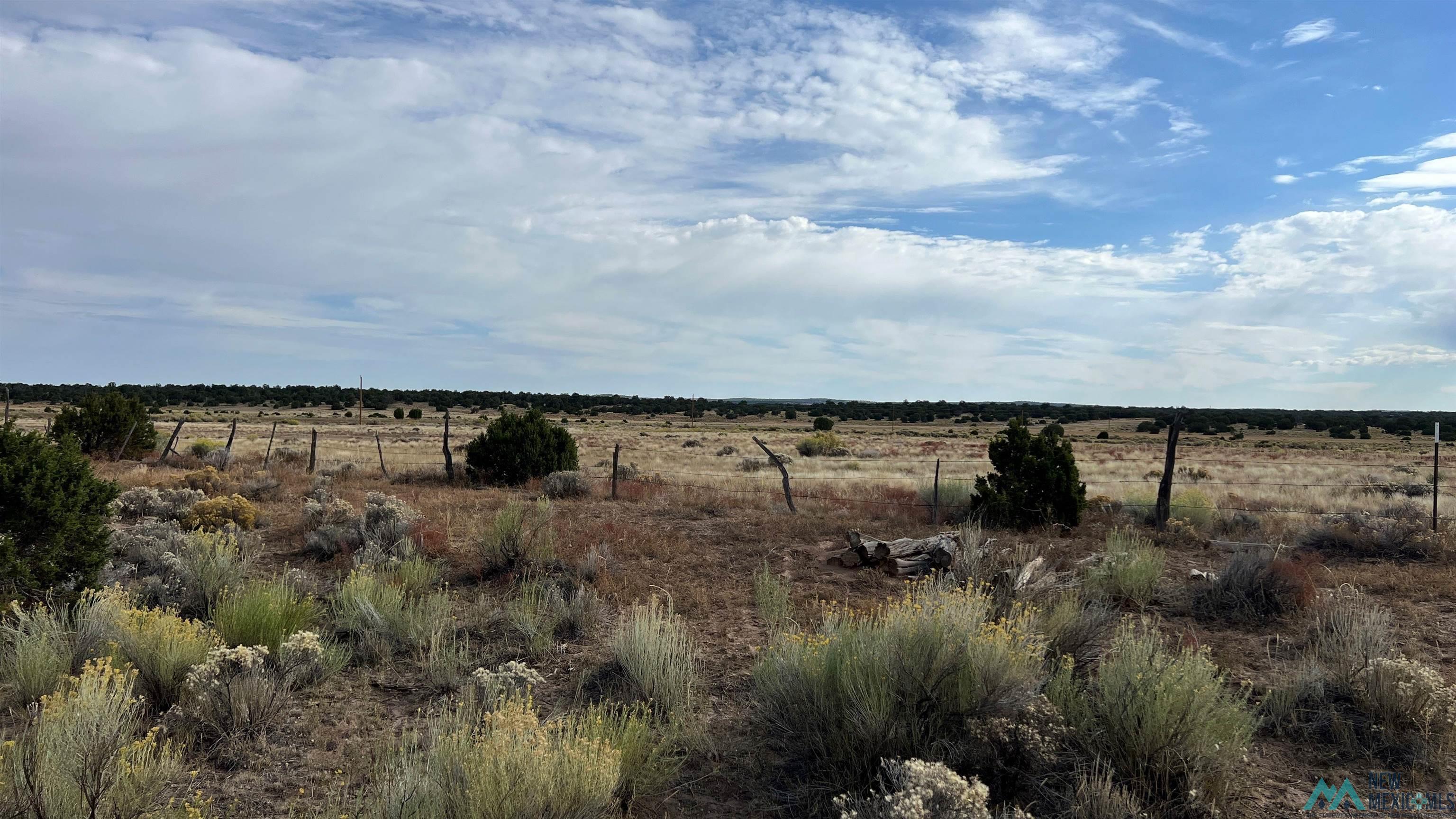 2315 Nm-36 Highway, Fence Lake, Texas image 49