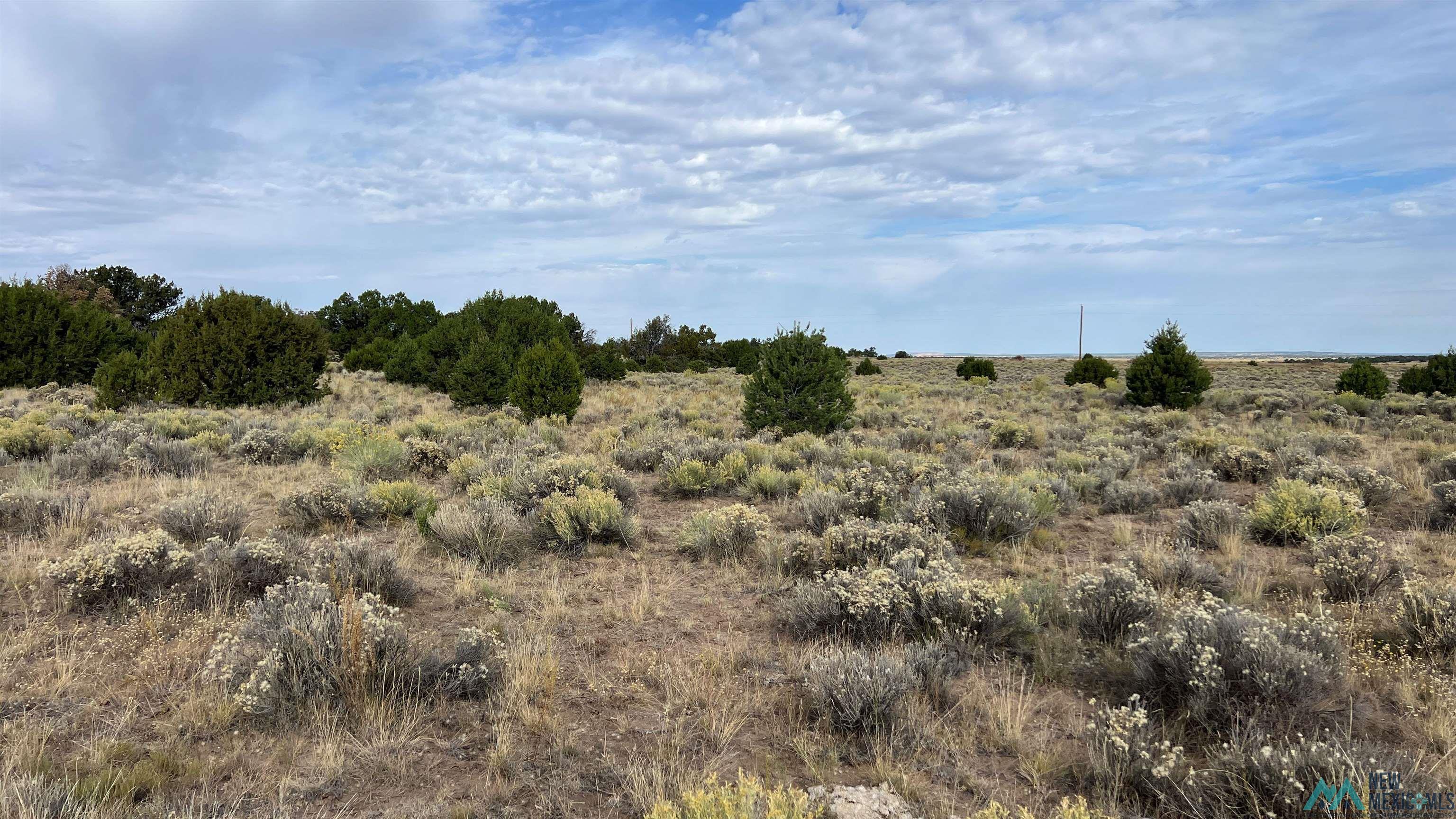 2315 Nm-36 Highway, Fence Lake, Texas image 50