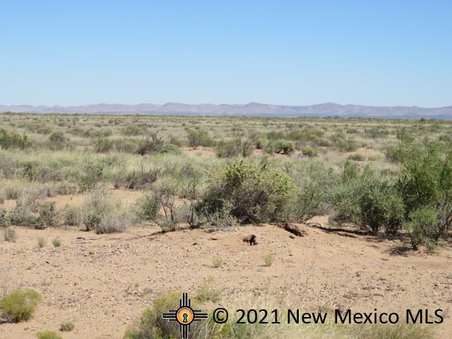 00 Eastside Addition Street, Columbus, New Mexico image 1