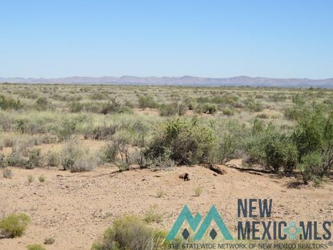 Vacant Land For Sale - 00 Eastside Addition Street<br/> Columbus, NM 88029