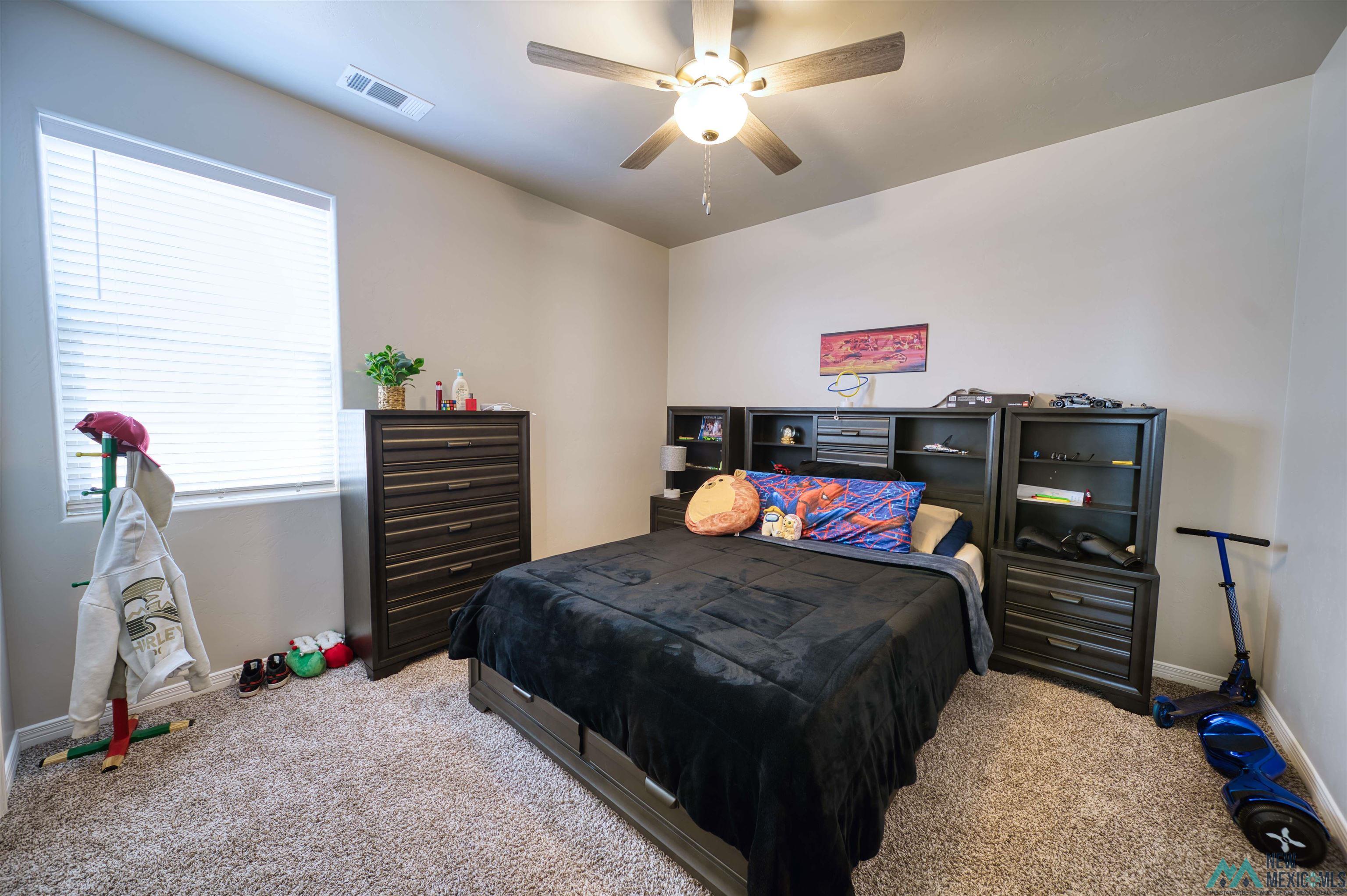 3813 S Sunnyview Avenue, Carlsbad, Texas image 33