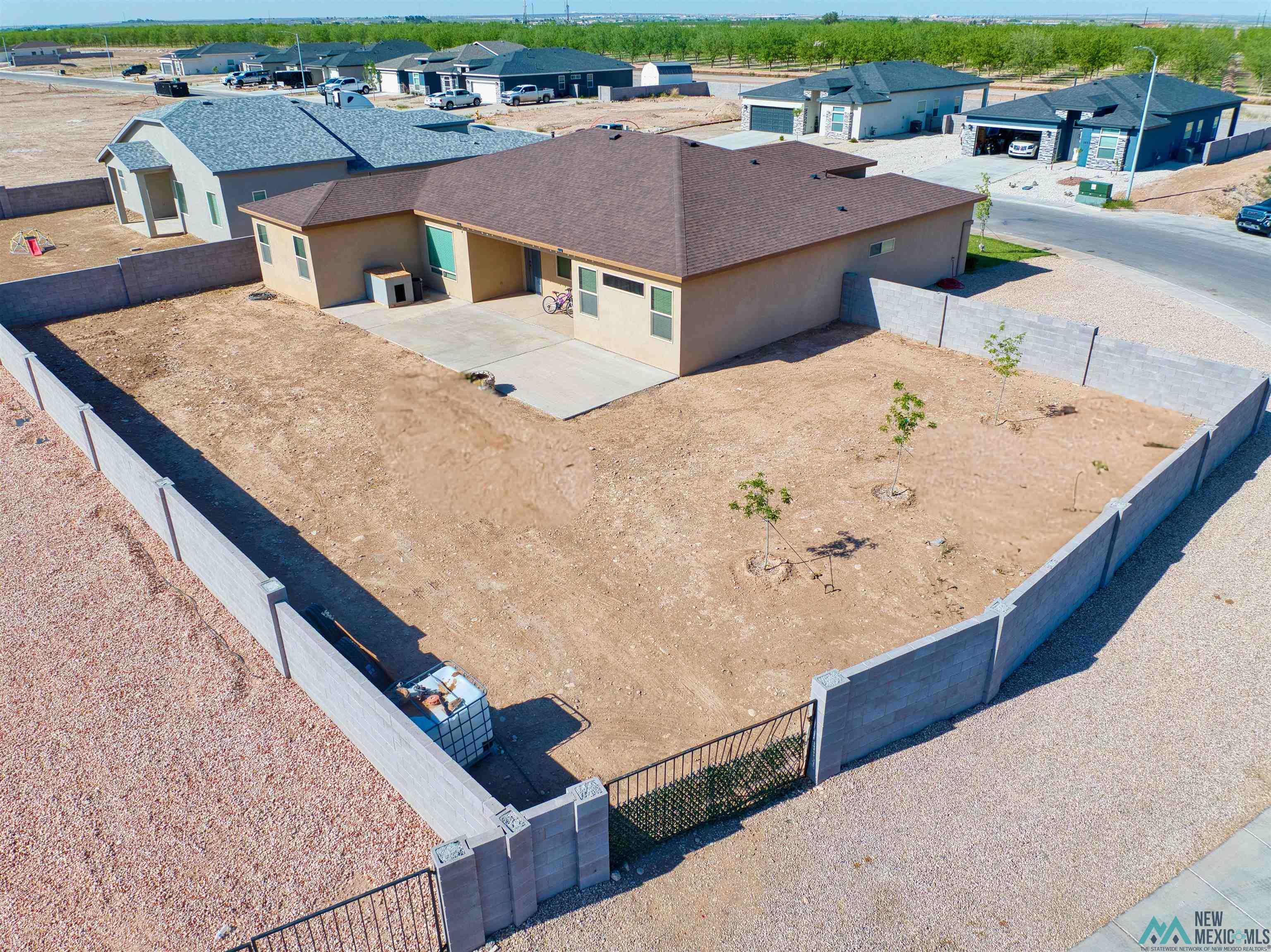 3813 S Sunnyview Avenue, Carlsbad, Texas image 7