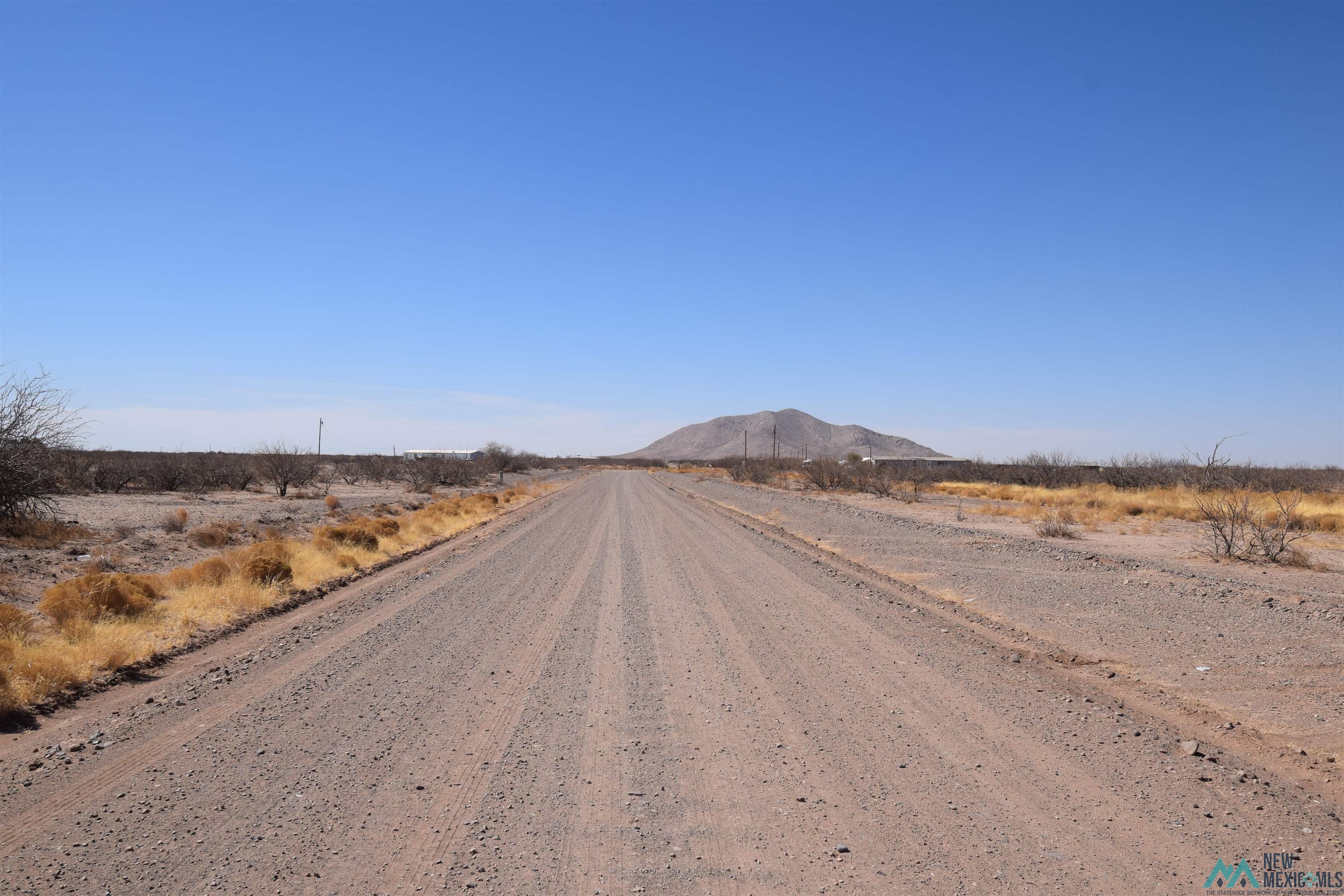 550 Alamosa Rd Sw Lot 8, Deming, New Mexico image 2