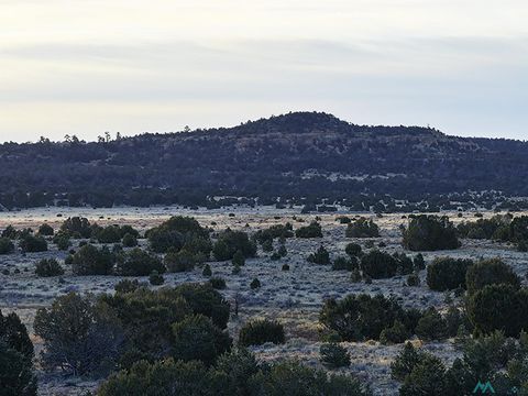 Vacant Land For Sale - 000 Indian Service Rt. 113<br/> Ramah, NM 87321