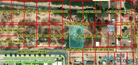 Vacant Land For Sale - E OF 908 Montgomery Avenue<br/> Carlsbad, NM 88220
