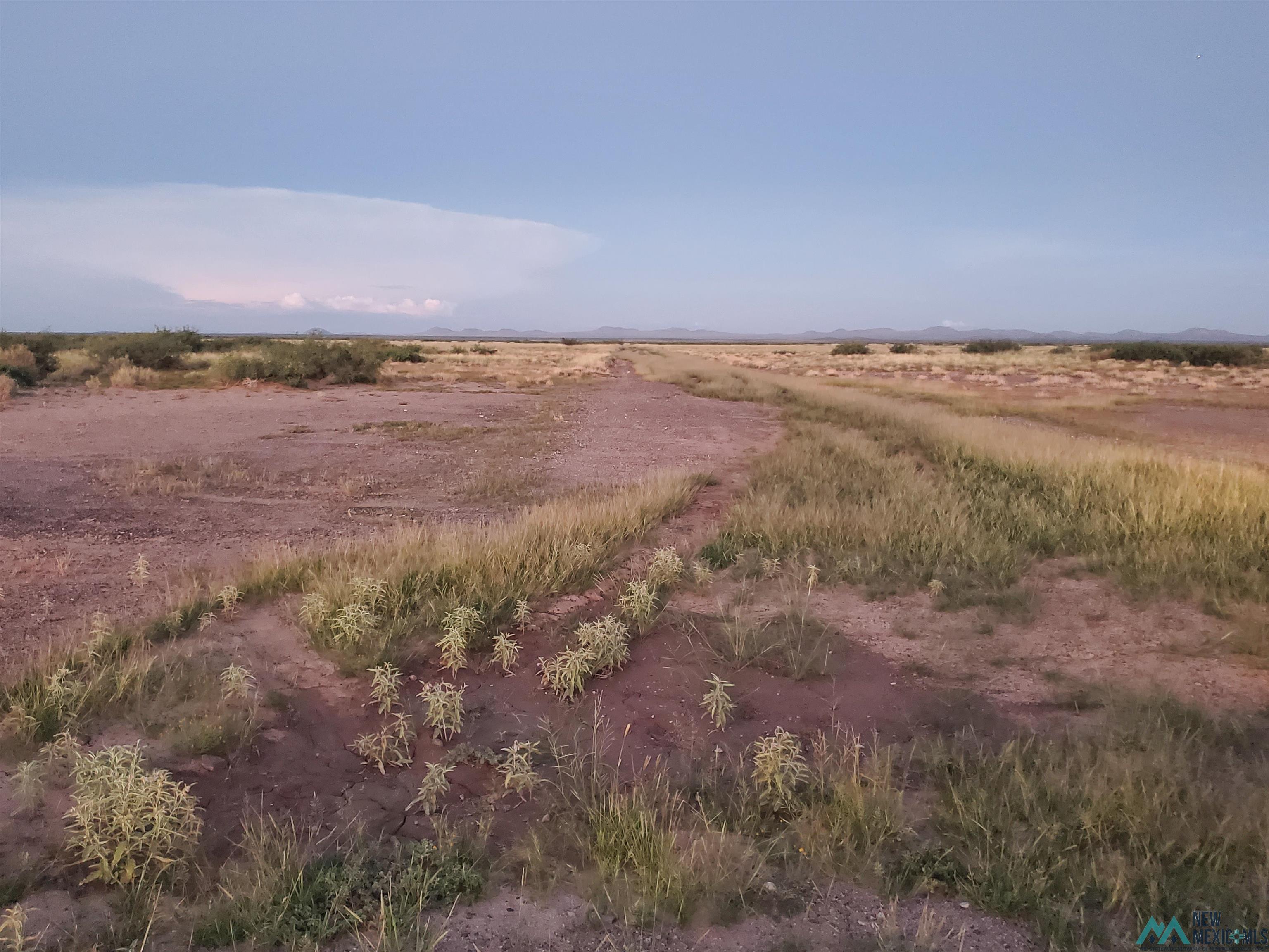 00 Medano Rd Se Road, Deming, New Mexico image 2