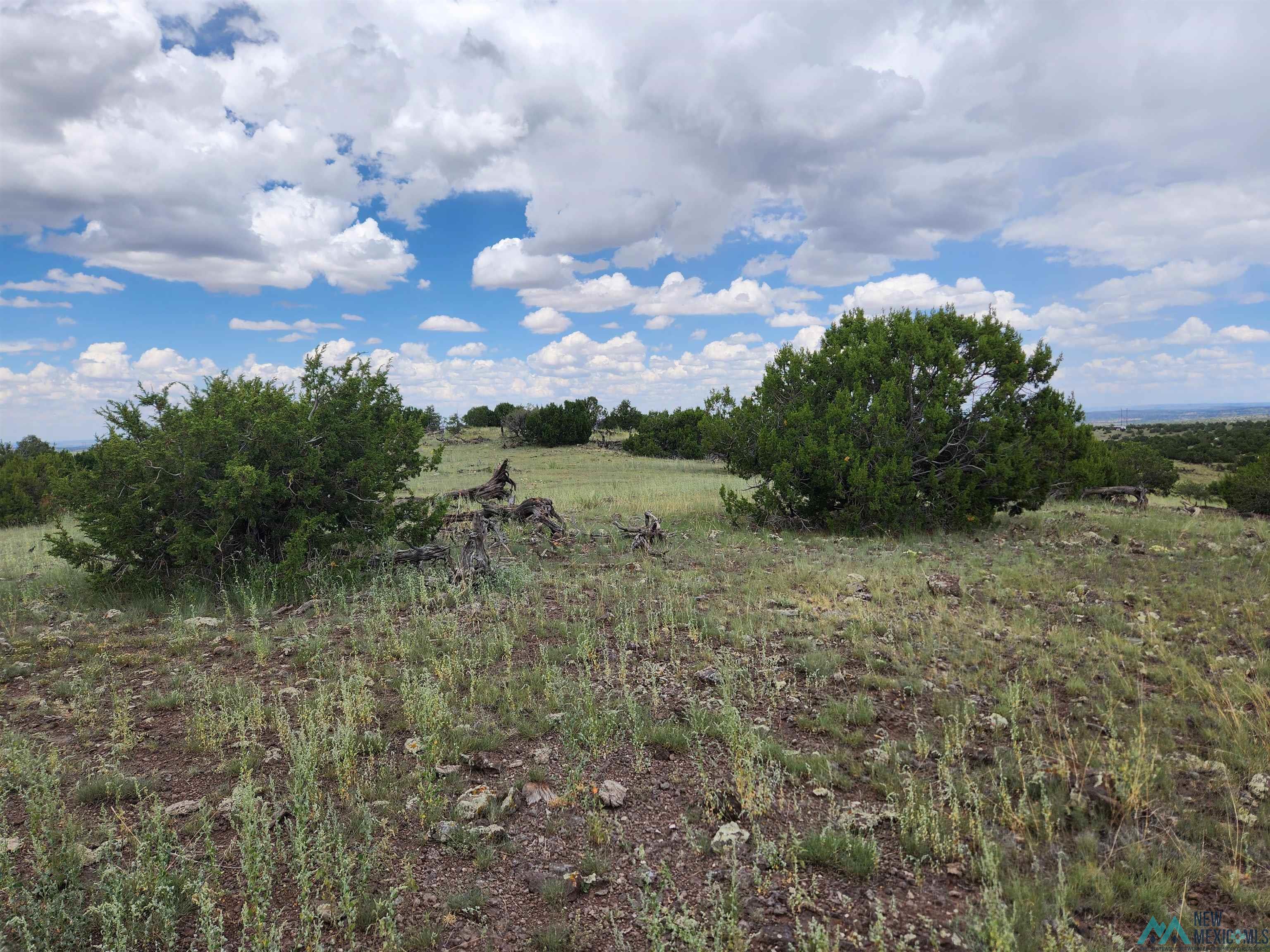 Cimarron Drive, Quemado, Texas image 3