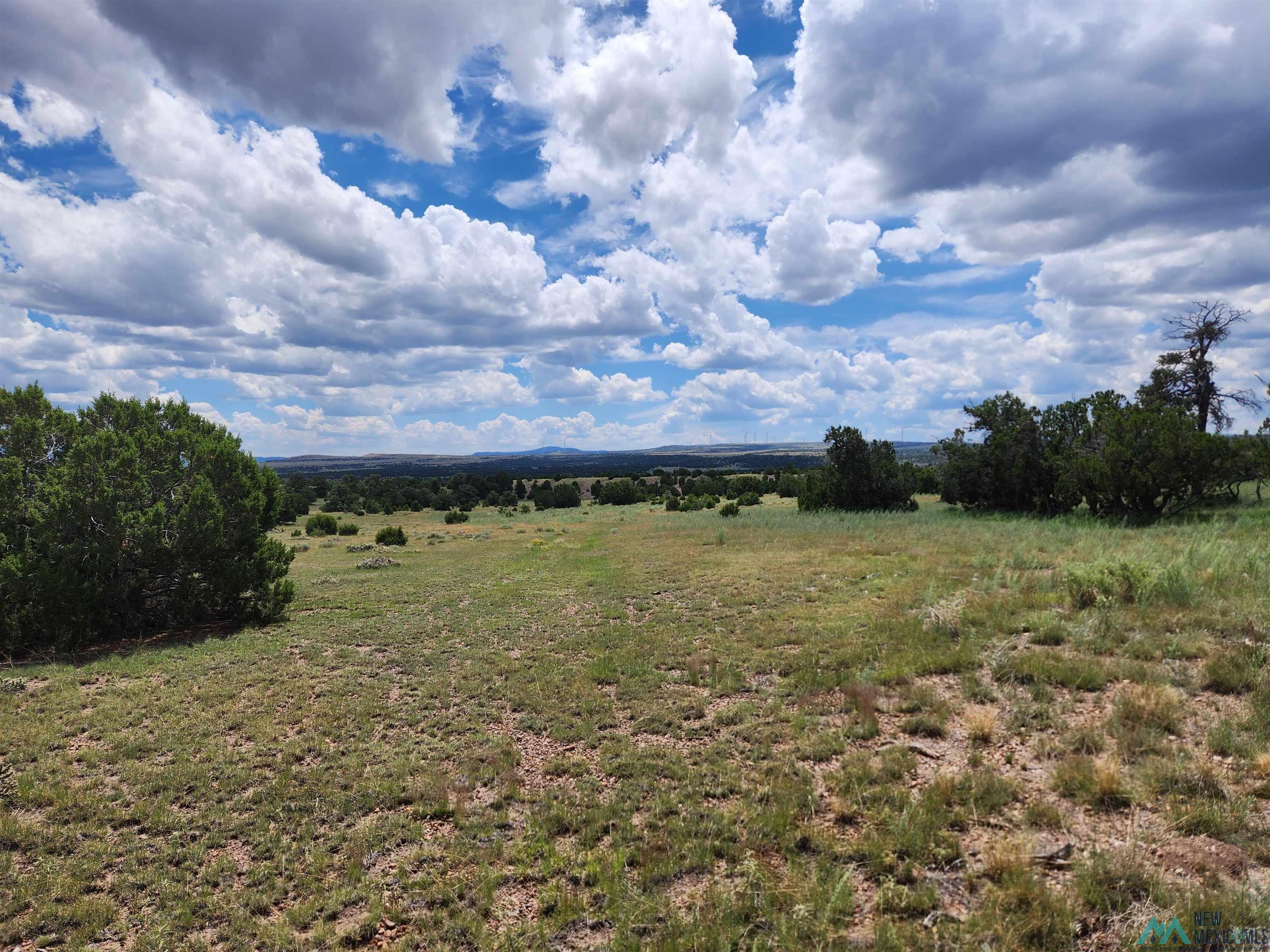 Cimarron Drive, Quemado, Texas image 4