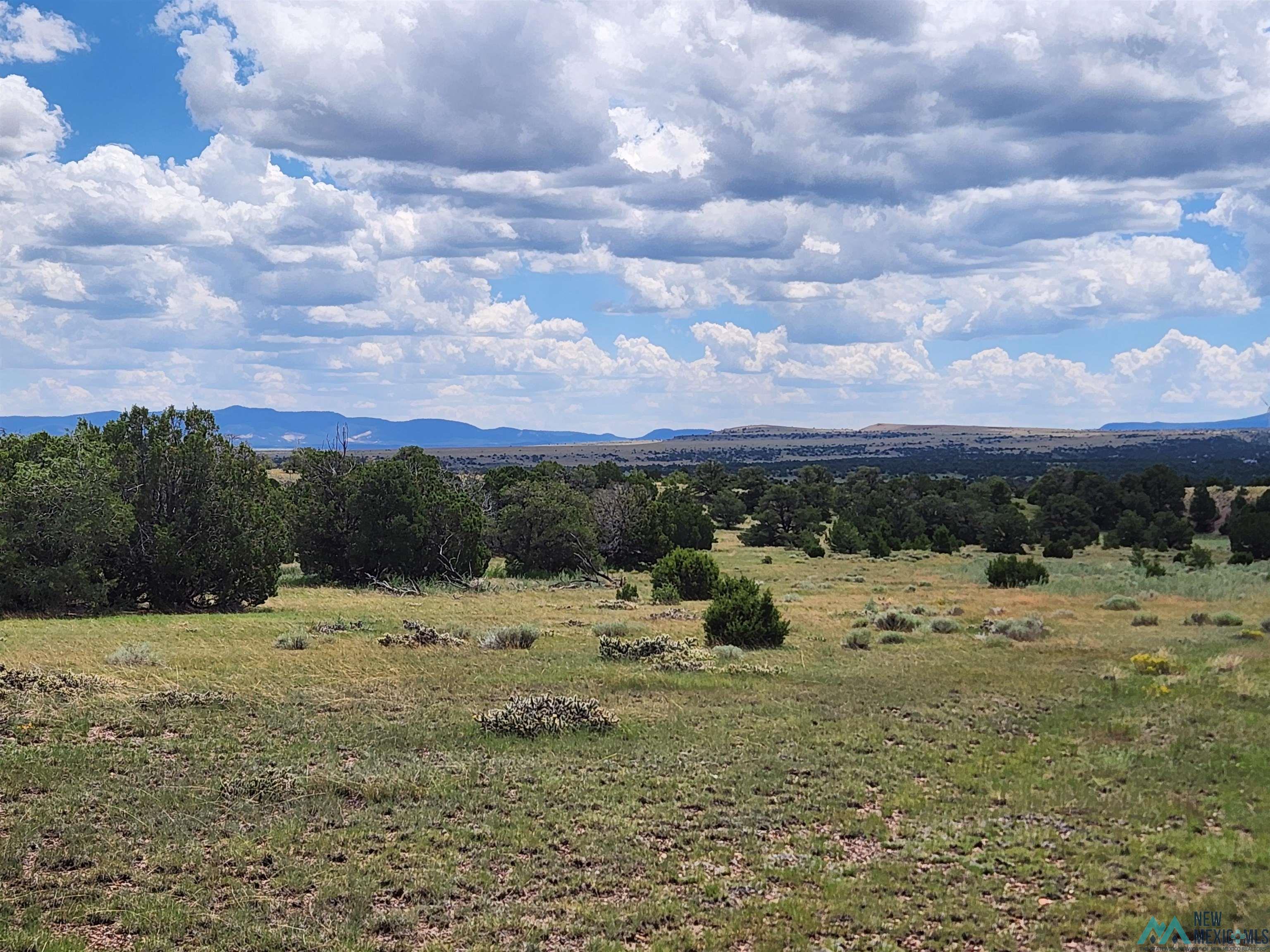 Cimarron Drive, Quemado, Texas image 1