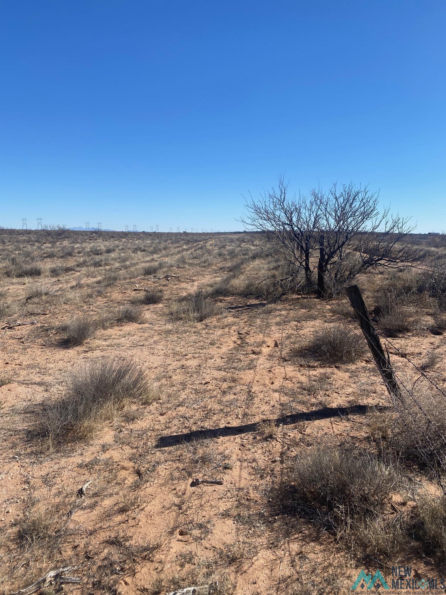 00000 Tewas Drive, Deming, New Mexico image 3