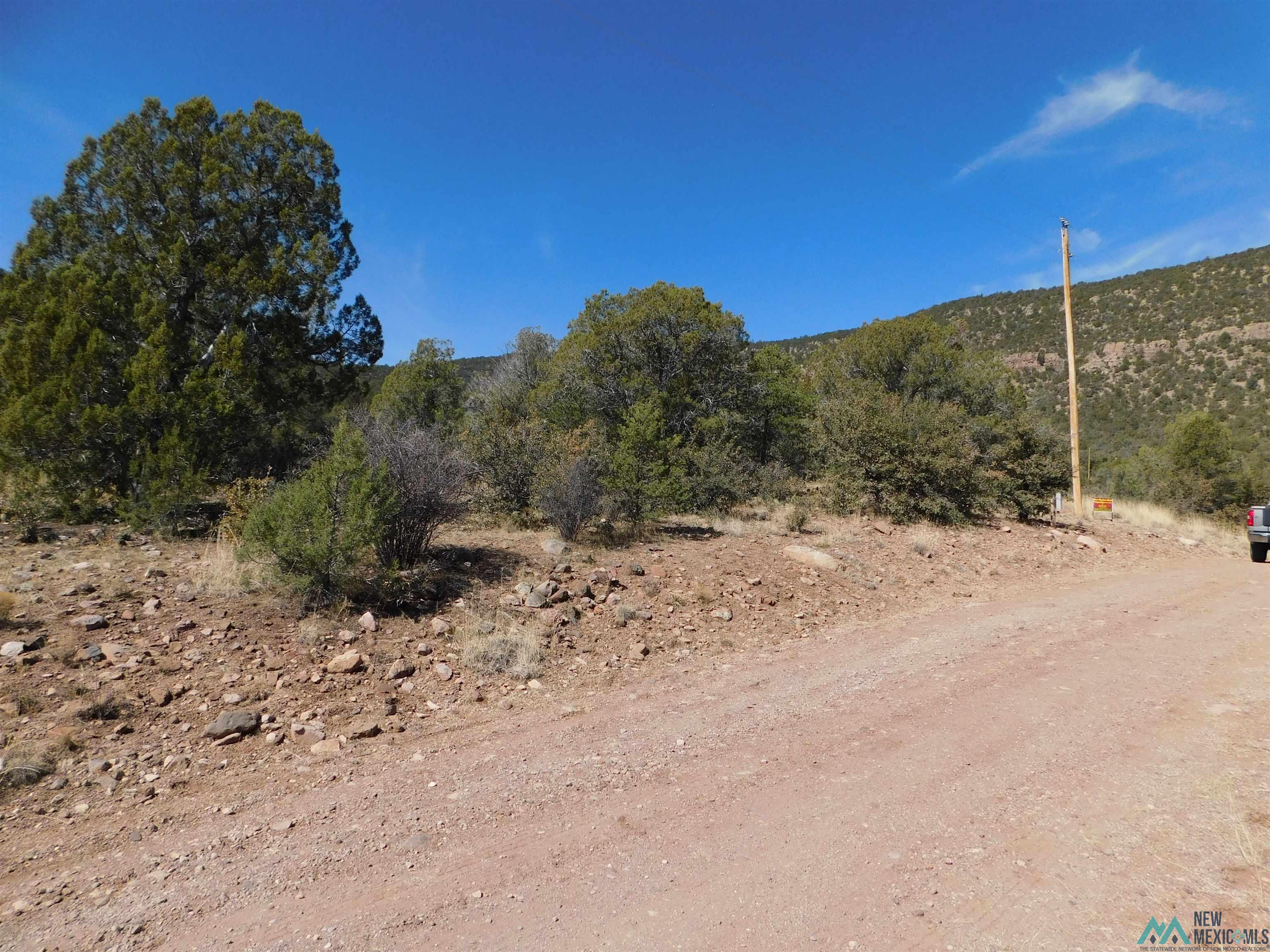 LOT 18 Rivers West Road, Reserve, New Mexico image 14