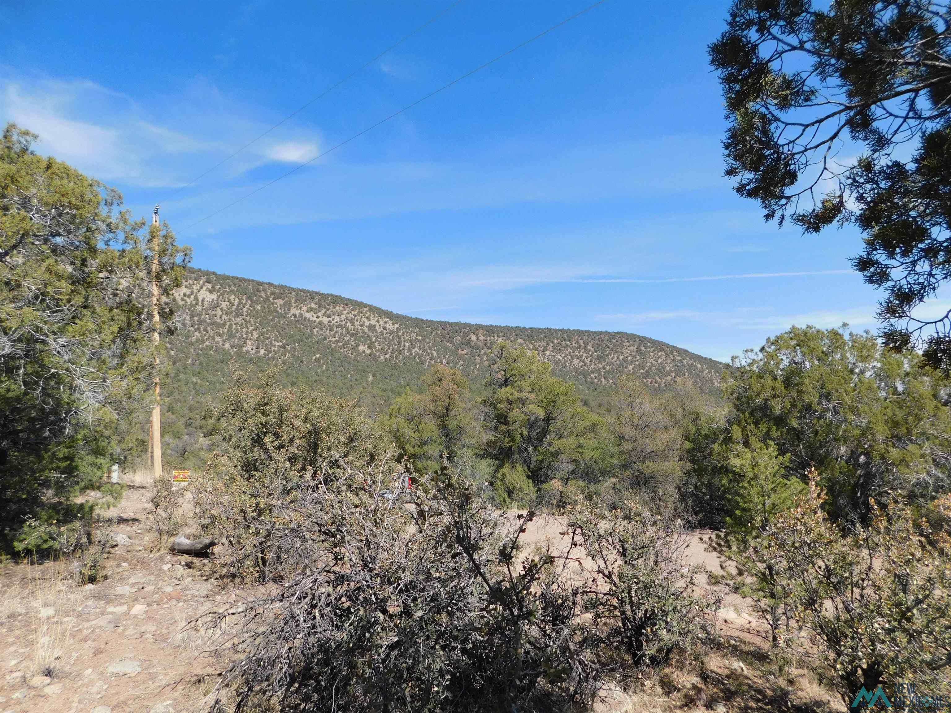 LOT 18 Rivers West Road, Reserve, New Mexico image 2