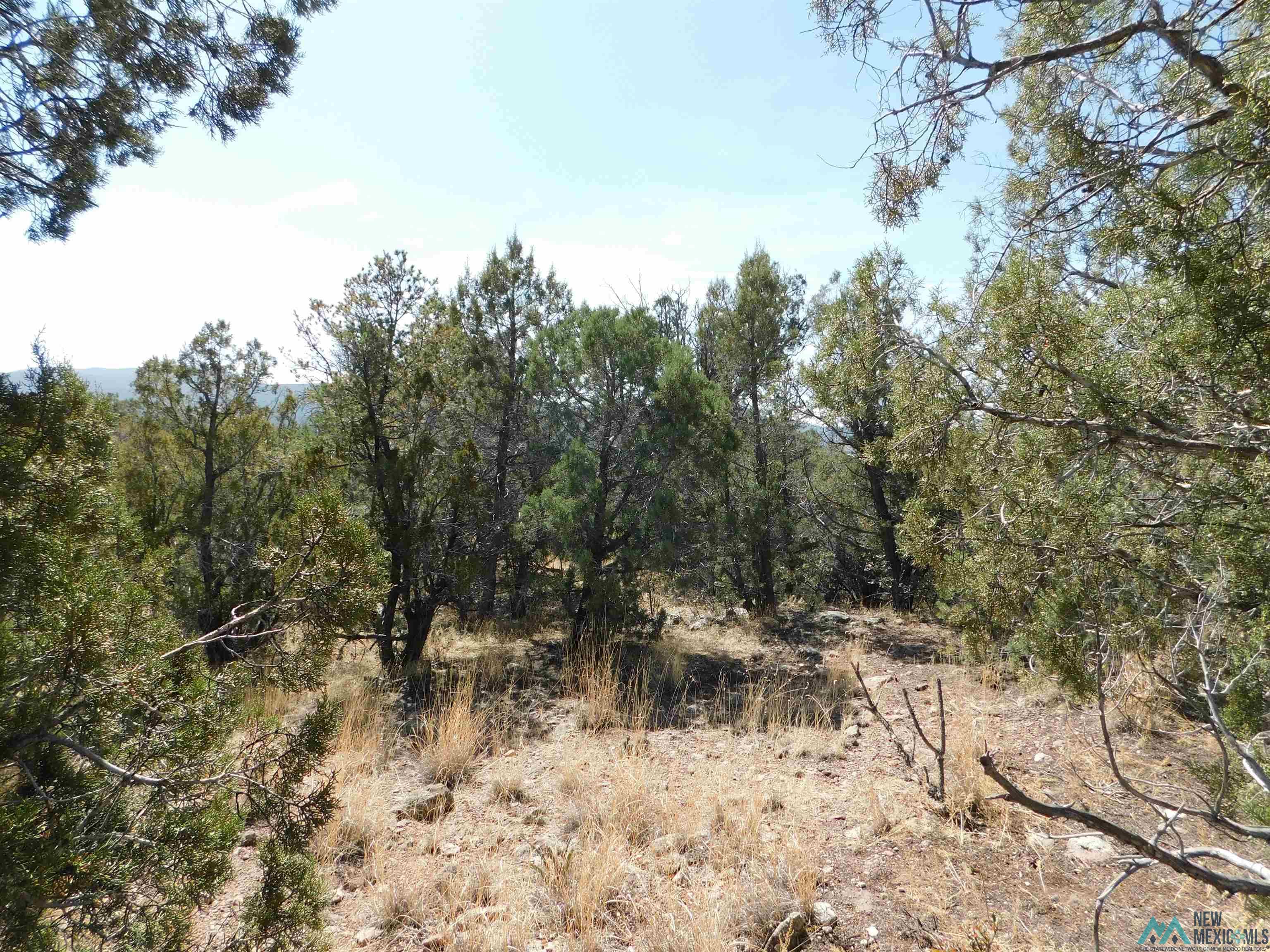 LOT 18 Rivers West Road, Reserve, New Mexico image 11