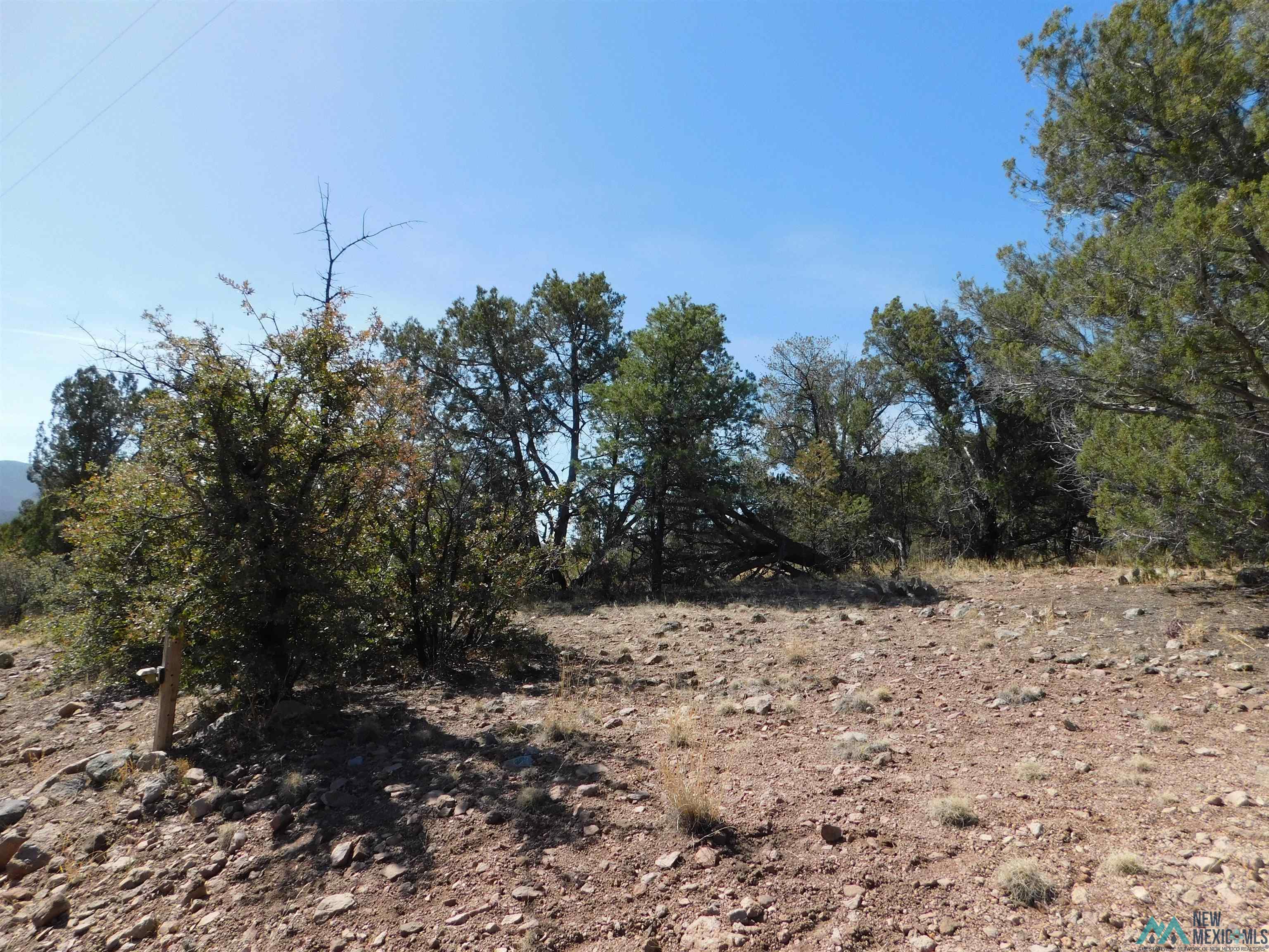 LOT 18 Rivers West Road, Reserve, New Mexico image 8