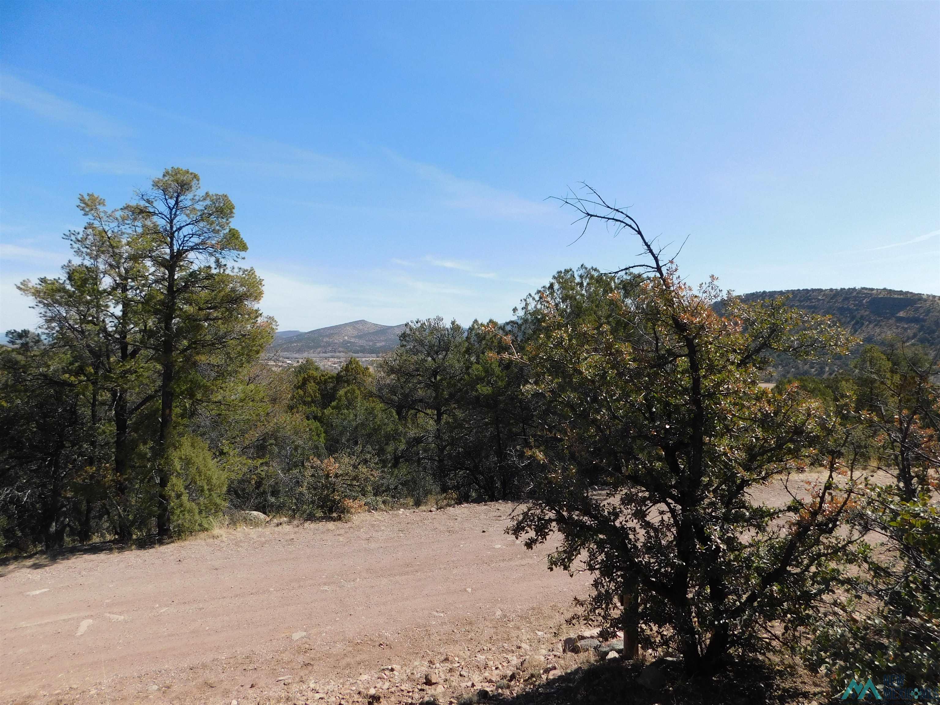 LOT 18 Rivers West Road, Reserve, New Mexico image 6