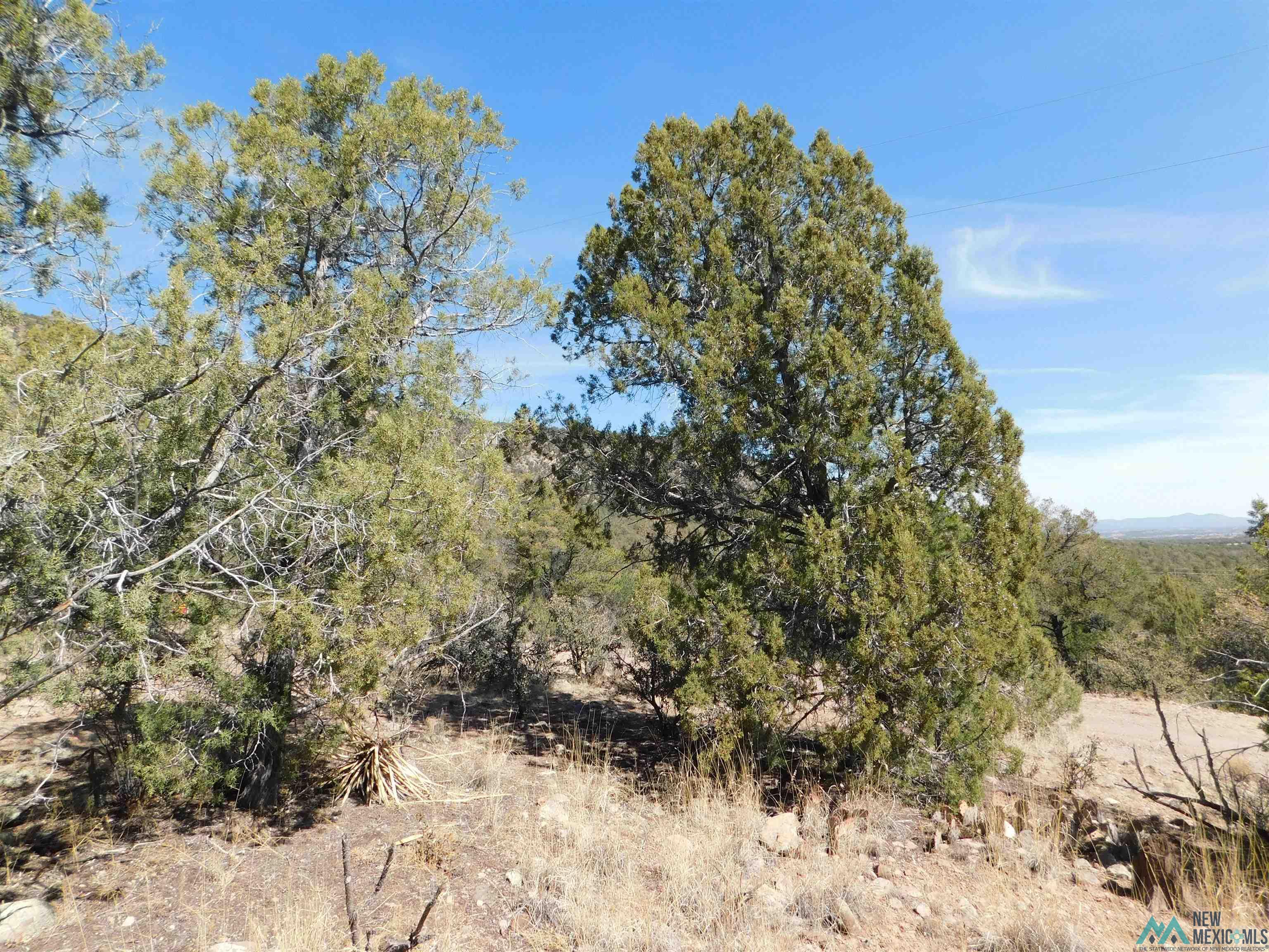 LOT 18 Rivers West Road, Reserve, New Mexico image 12