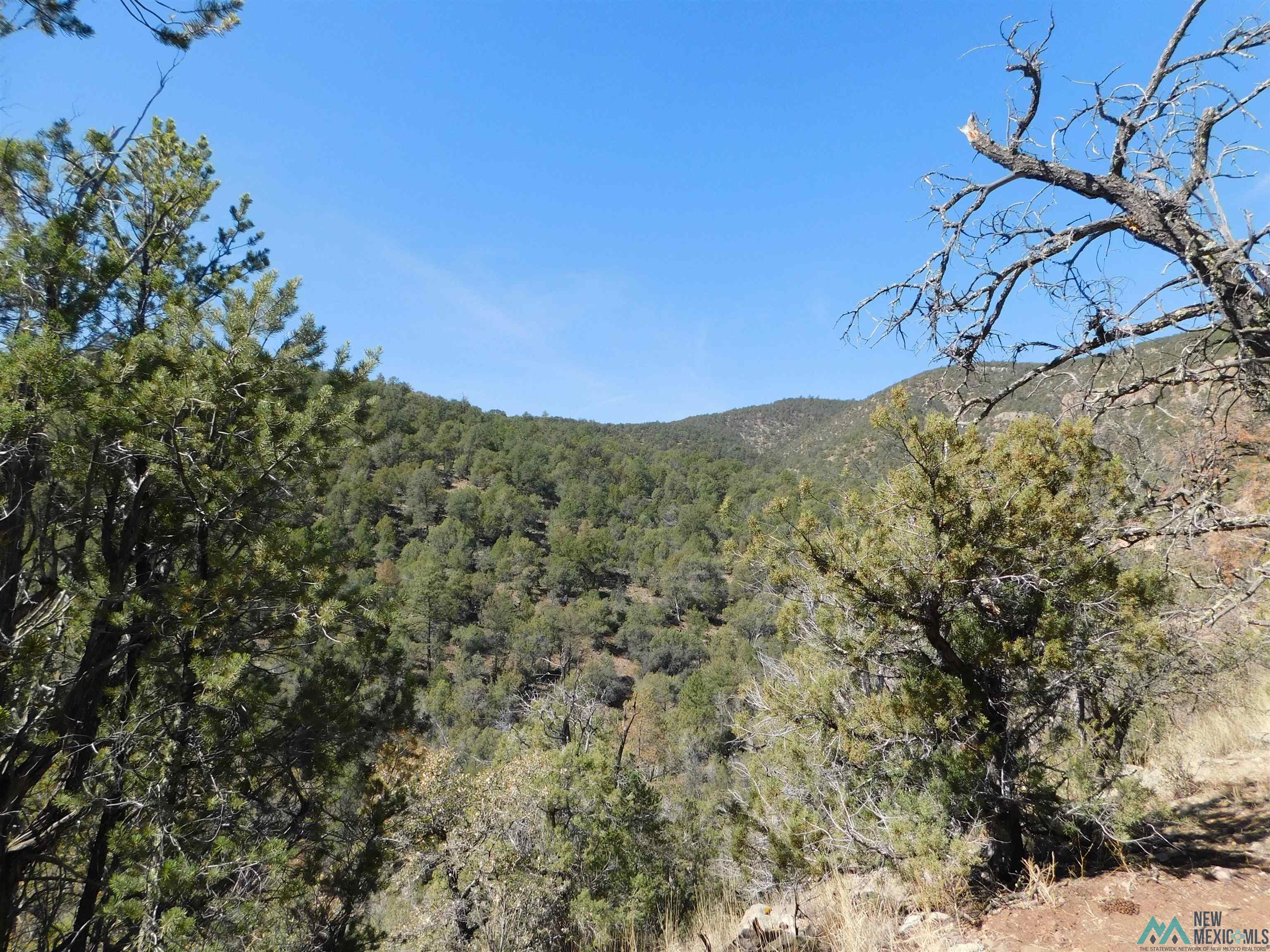 LOT 18 Rivers West Road, Reserve, New Mexico image 4