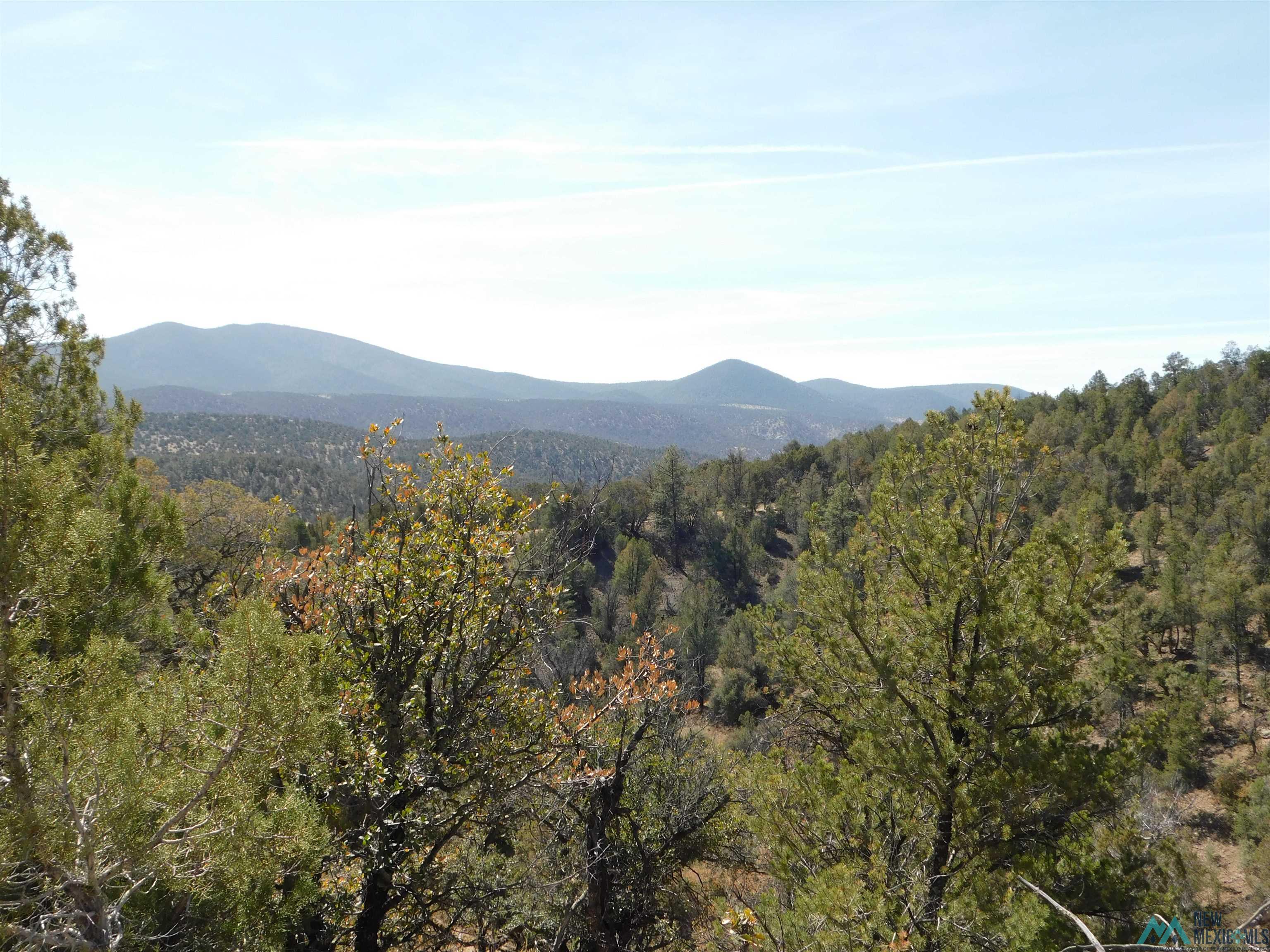 LOT 18 Rivers West Road, Reserve, New Mexico image 1