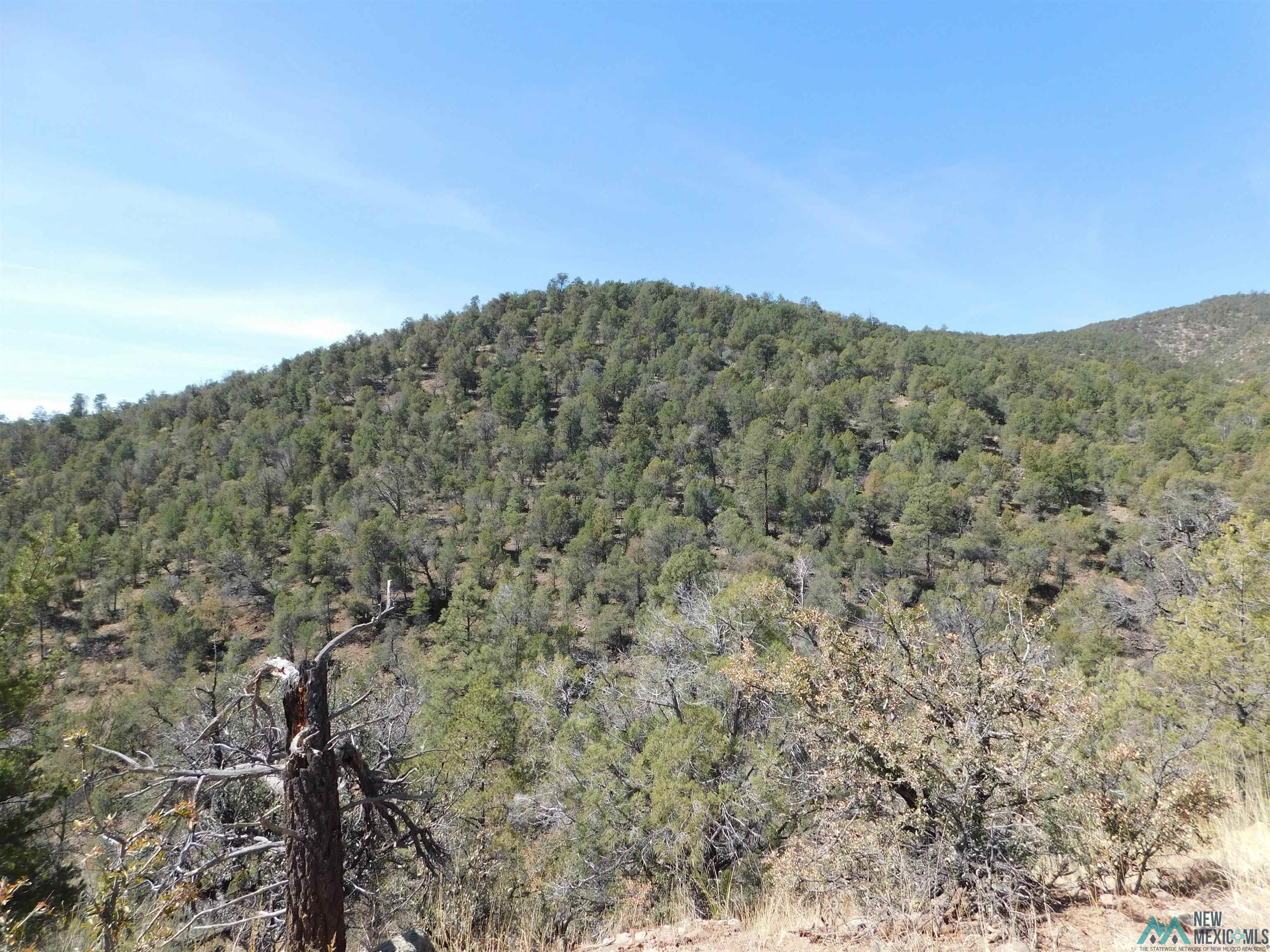 LOT 18 Rivers West Road, Reserve, New Mexico image 3