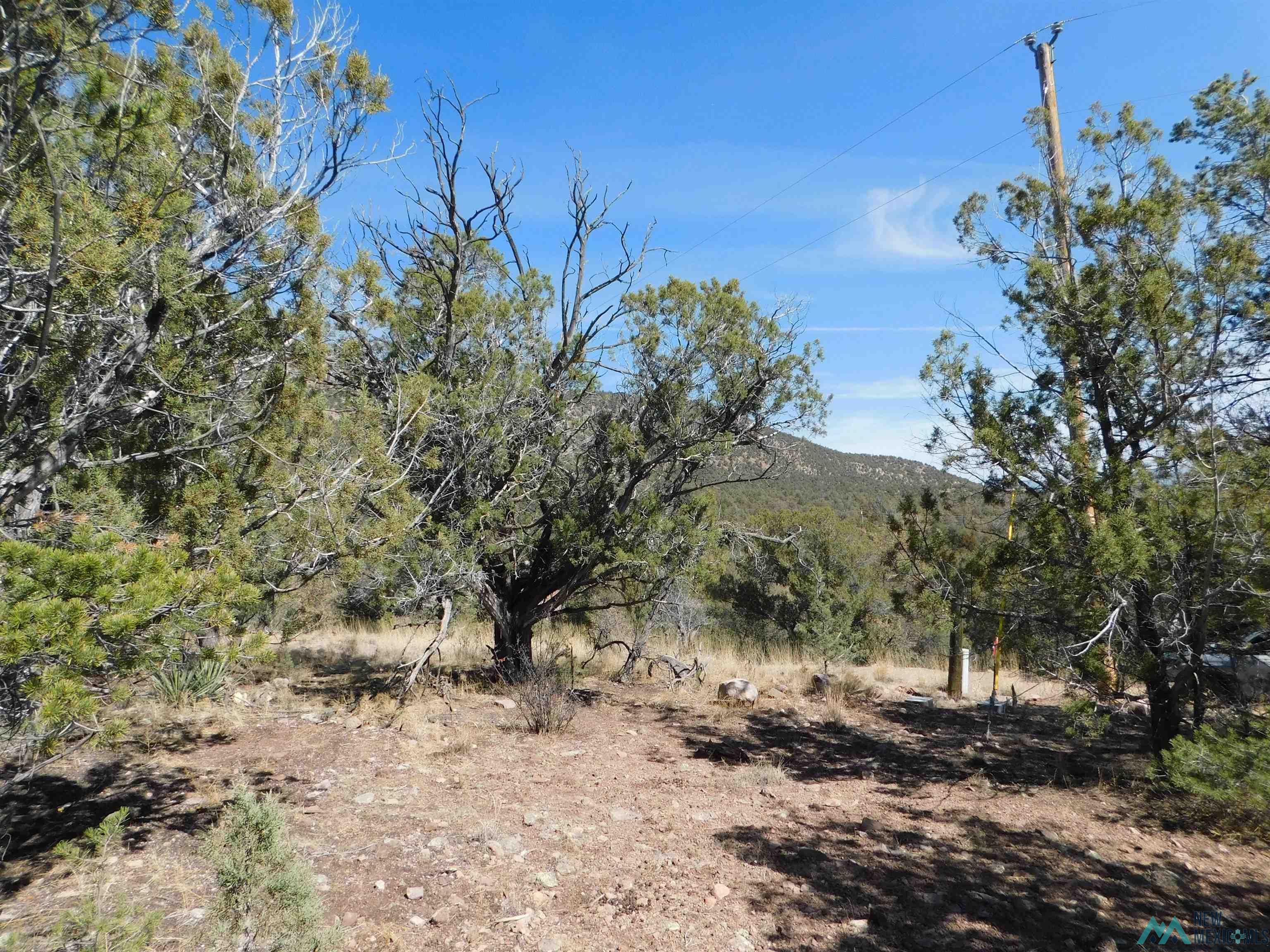 LOT 18 Rivers West Road, Reserve, New Mexico image 9