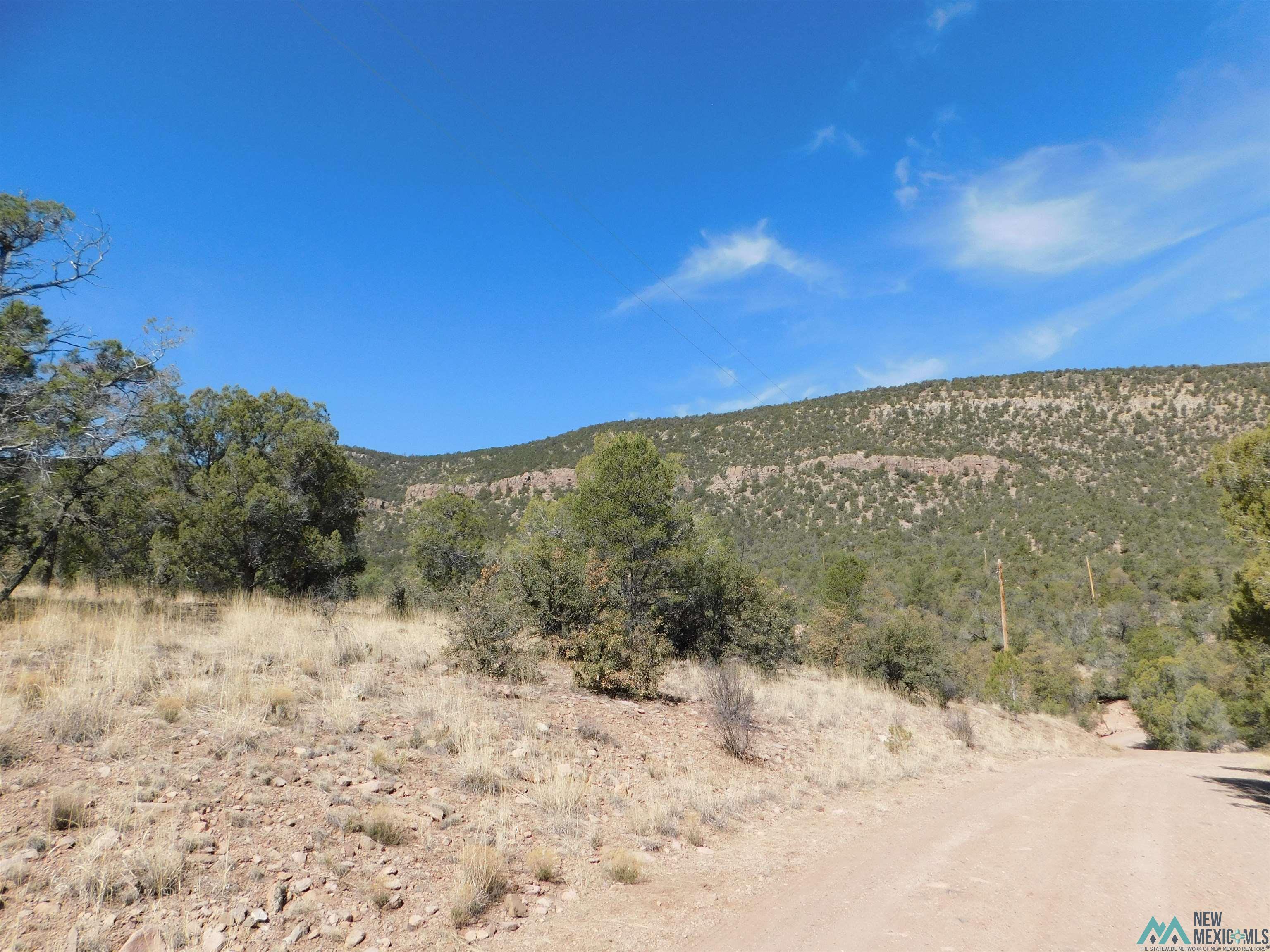 LOT 18 Rivers West Road, Reserve, New Mexico image 7