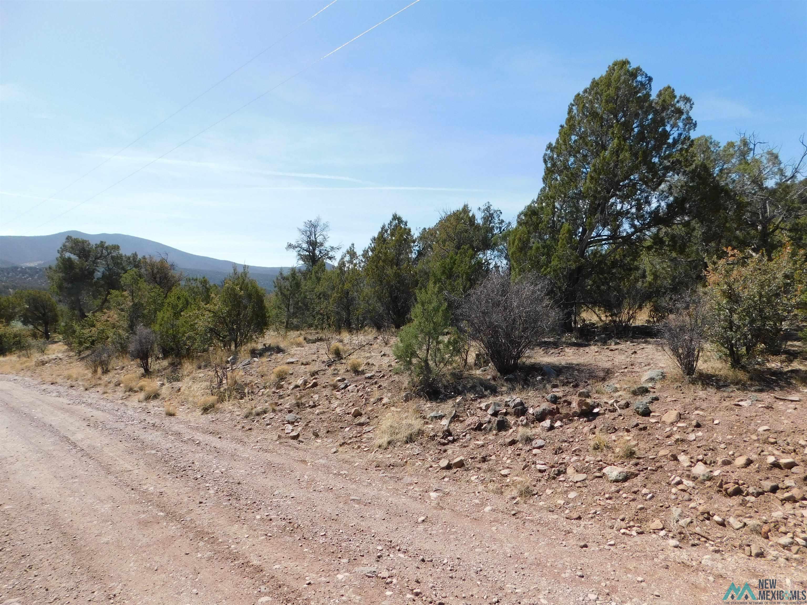 LOT 18 Rivers West Road, Reserve, New Mexico image 15