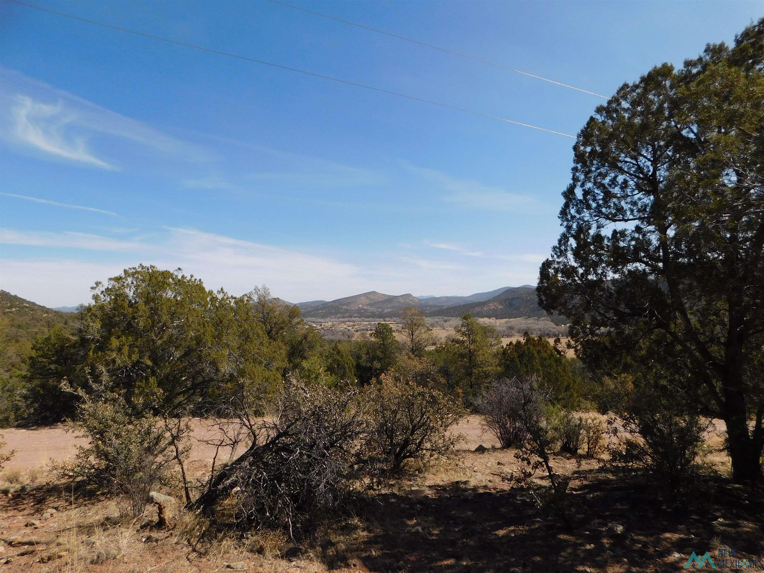 LOT 18 Rivers West Road, Reserve, New Mexico image 10