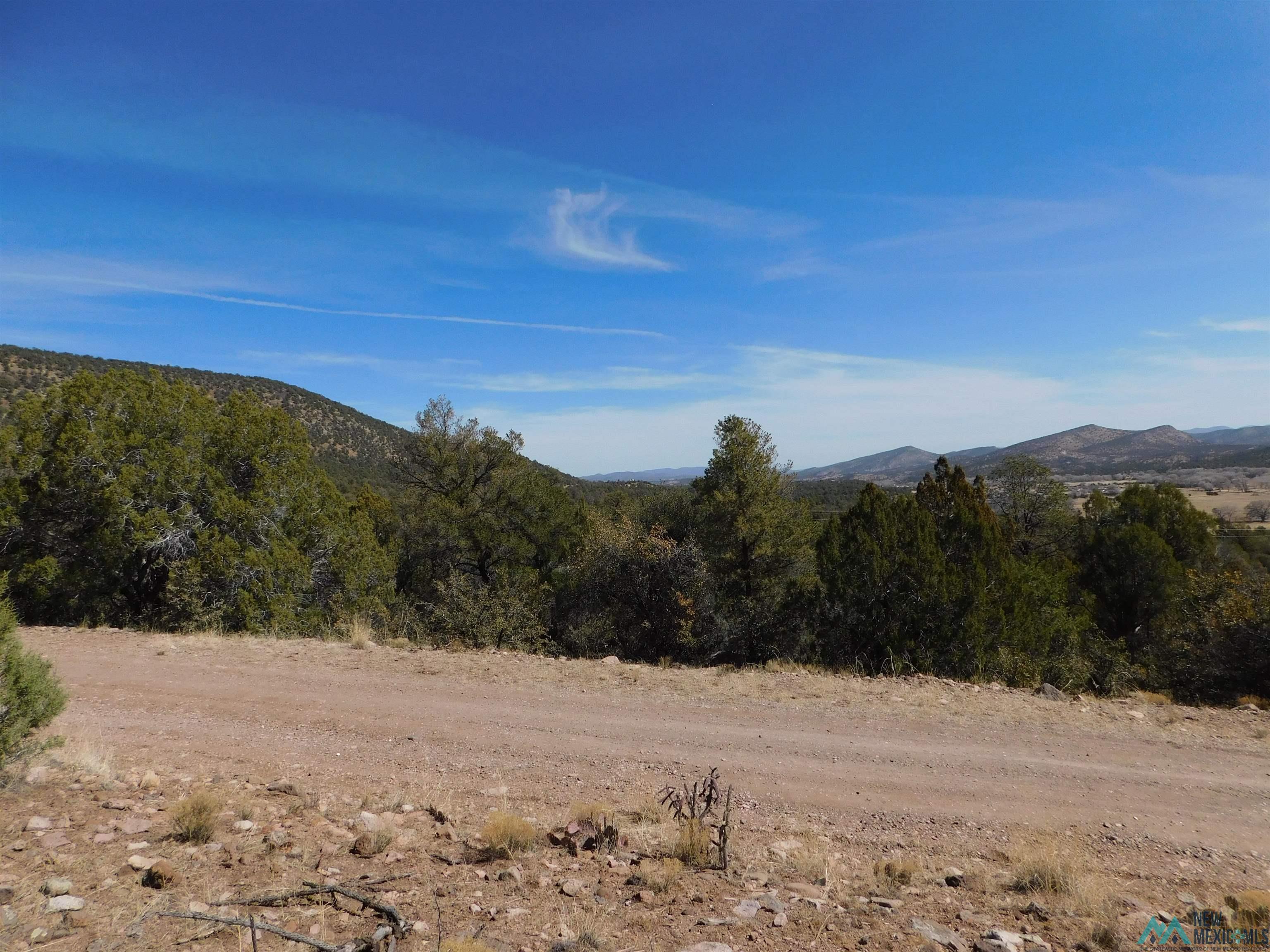 LOT 18 Rivers West Road, Reserve, New Mexico image 13