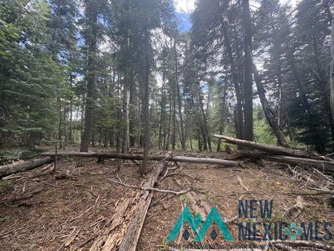 Vacant Land For Sale - 30 Brazos Lodge Estates<br/> Chama, NM 87520