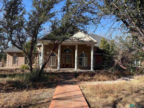 Vacant Land For Sale - 3048 Ruth Avenue<br/> Roswell, NM 88201