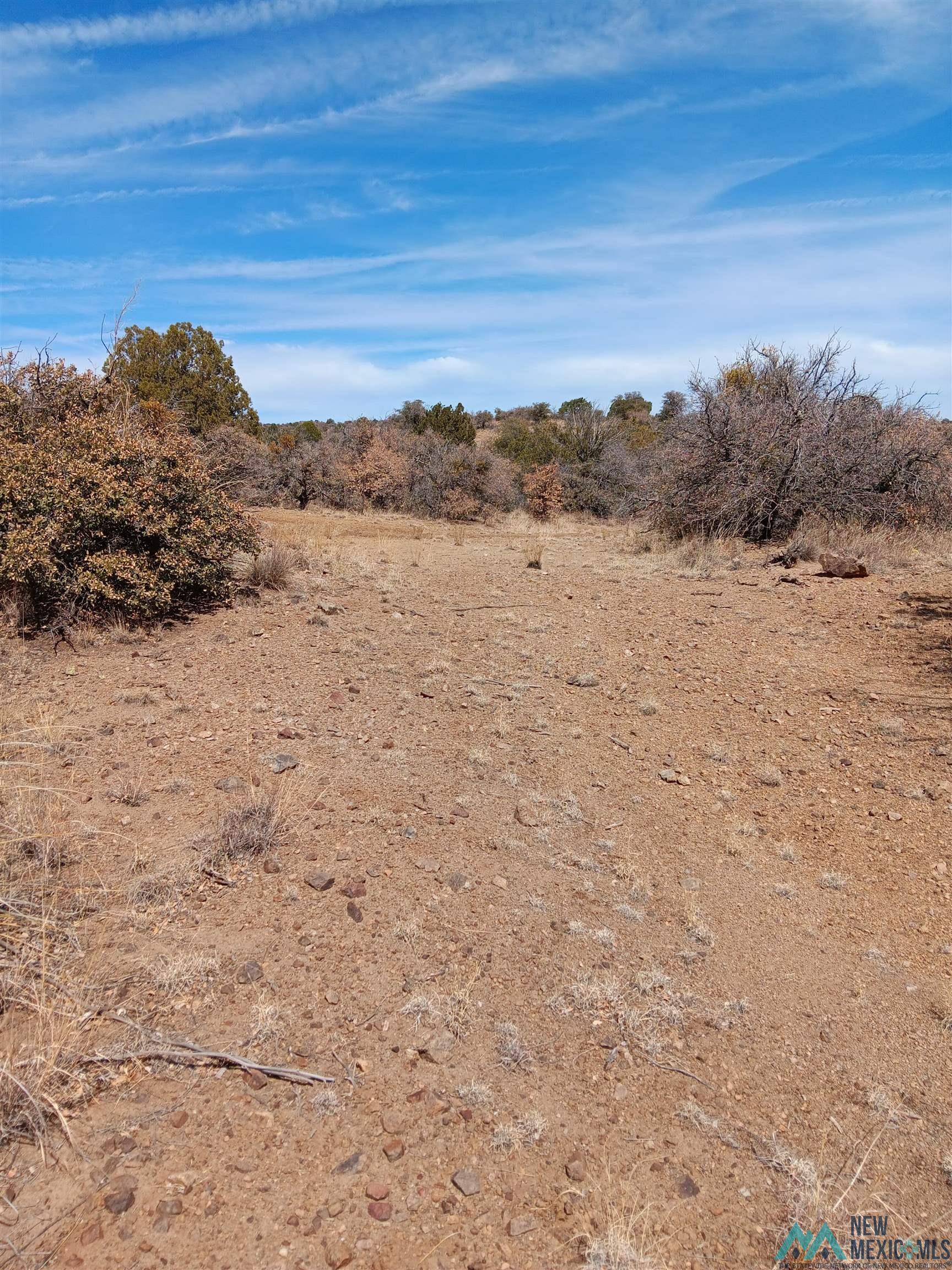 545 W X 610 Rustlers Road #9, Tyrone, Texas image 7
