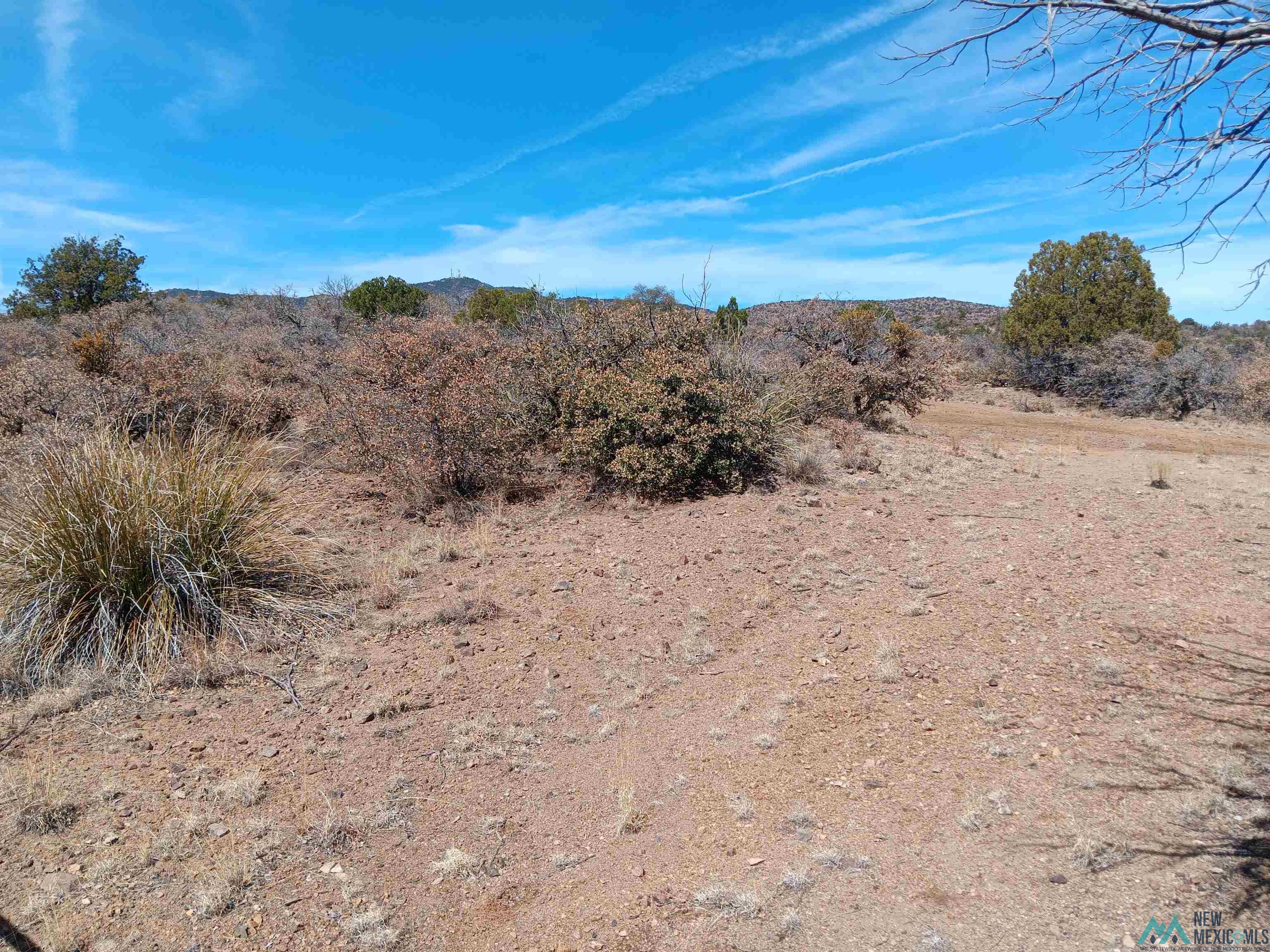 545 W X 610 Rustlers Road #9, Tyrone, Texas image 9