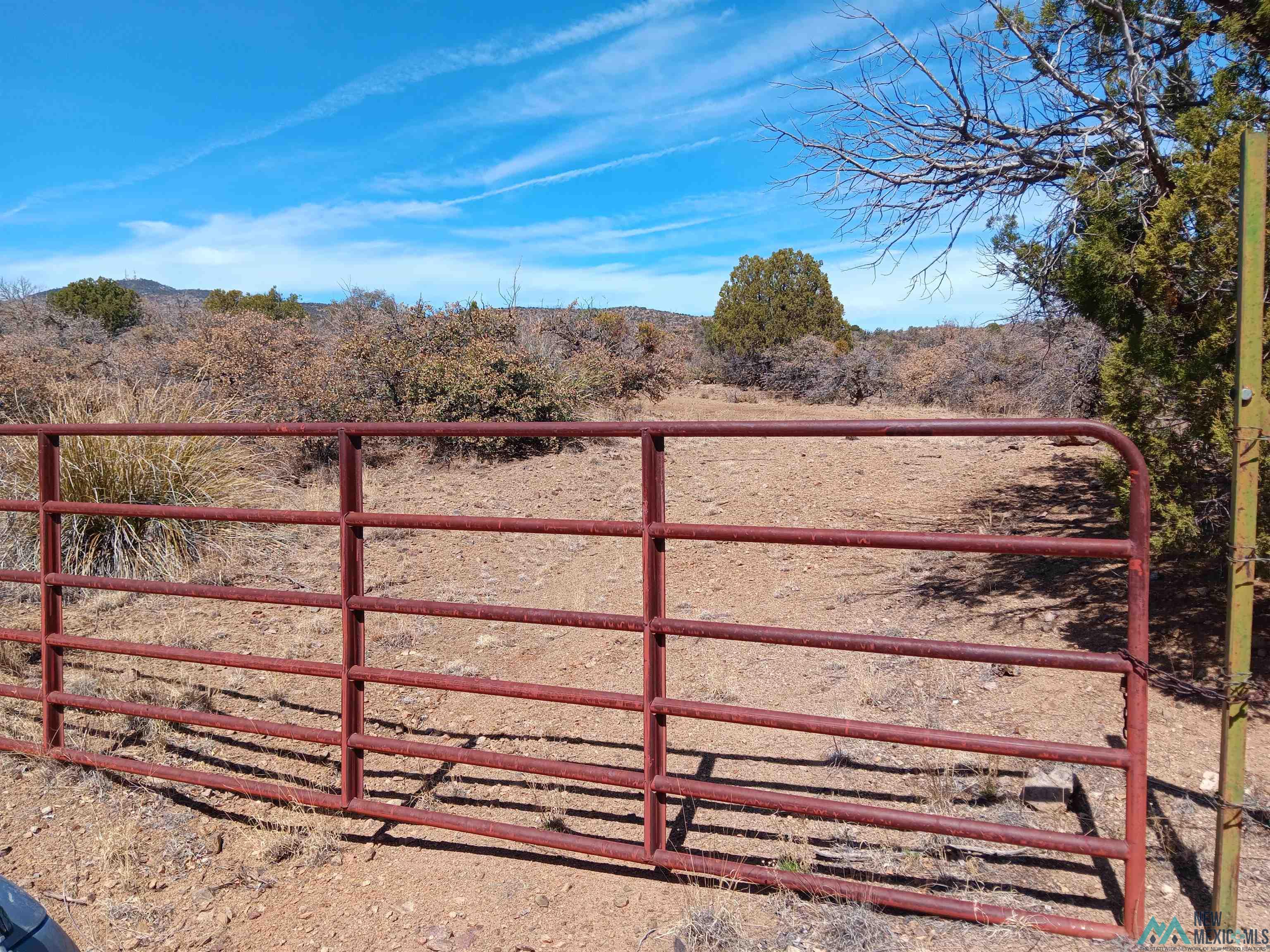 545 W X 610 Rustlers Road #9, Tyrone, Texas image 3
