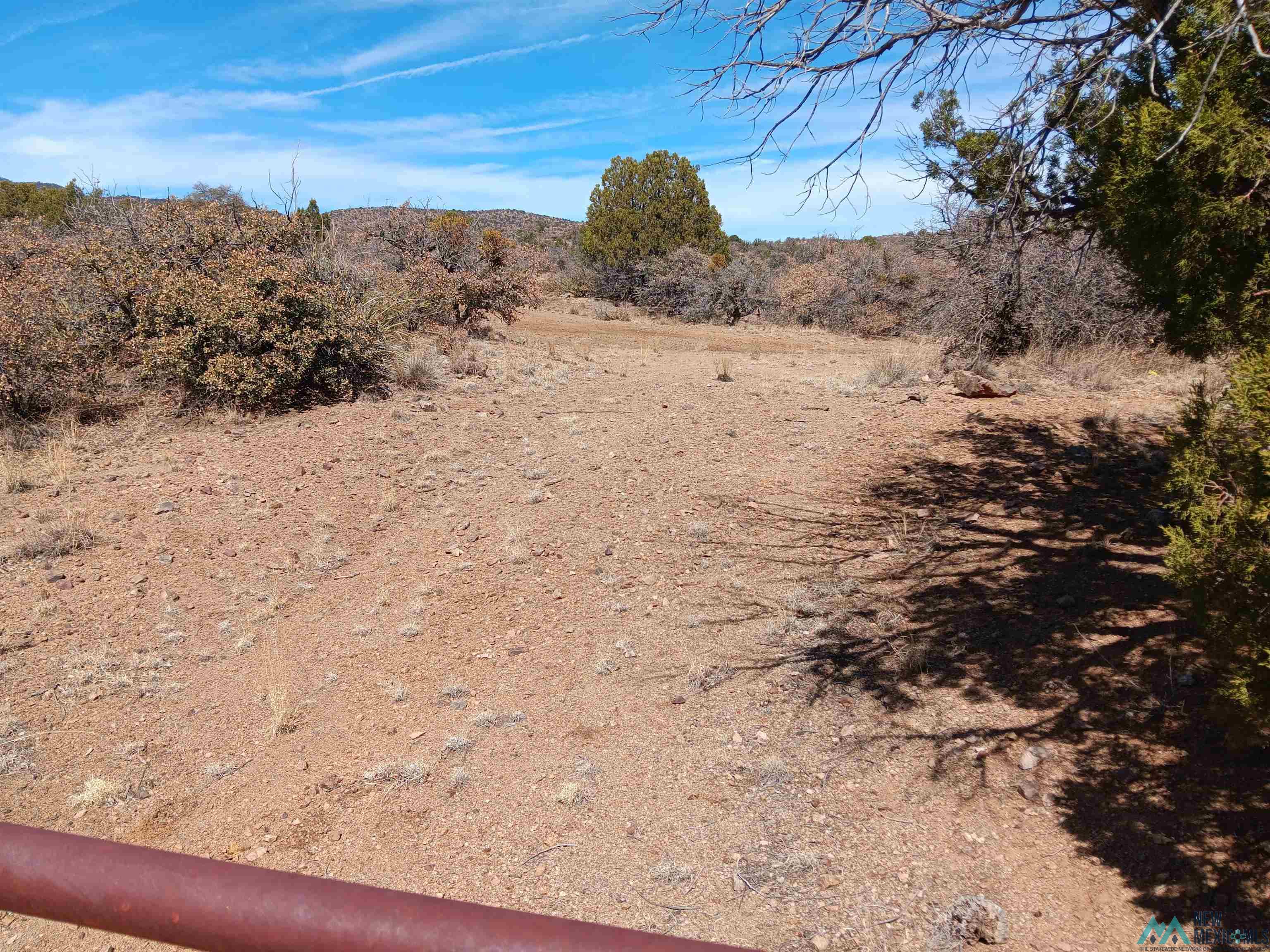 545 W X 610 Rustlers Road #9, Tyrone, Texas image 4