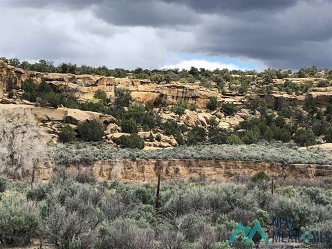 Vacant Land For Sale - TBD Hwy 539/64 Highway<br/> Rio Arriba County, Navajo Dam, NM 87412