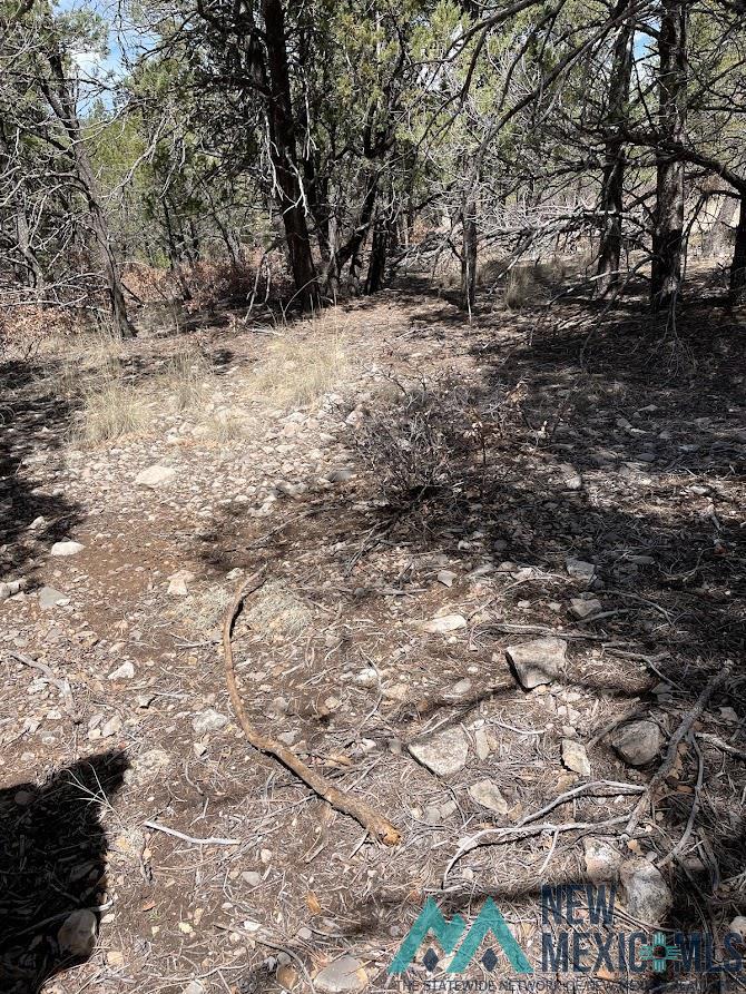 9 Bronco Drive, Timberon, New Mexico image 3