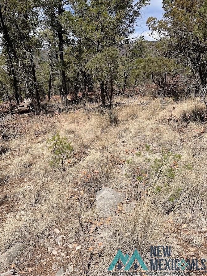 9 Bronco Drive, Timberon, New Mexico image 5