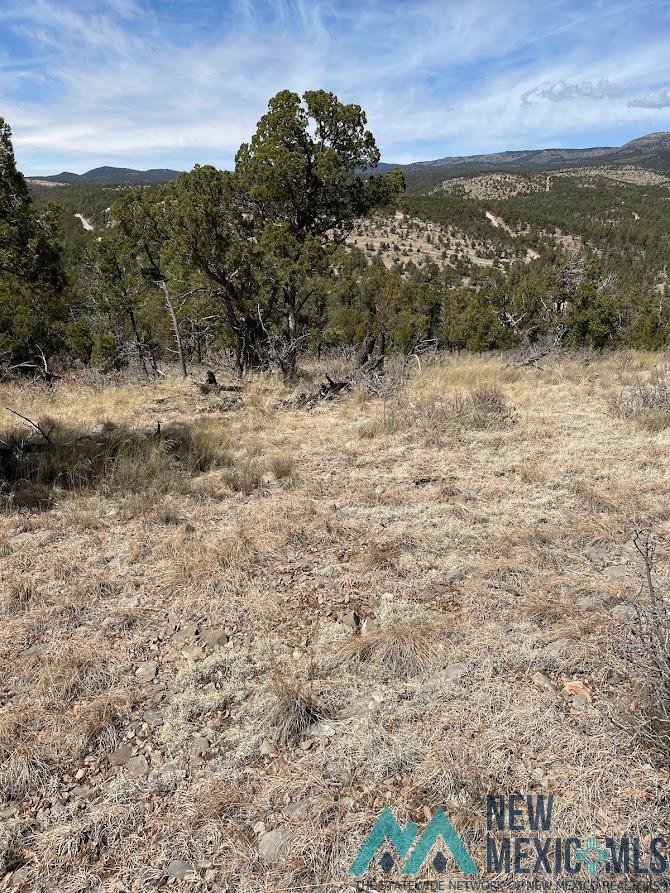 9 Bronco Drive, Timberon, New Mexico image 2