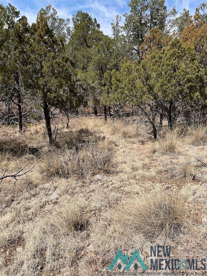 9 Bronco Drive, Timberon, New Mexico image 1