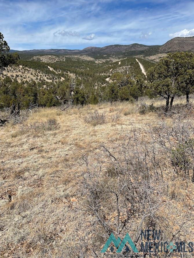 9 Bronco Drive, Timberon, New Mexico image 6