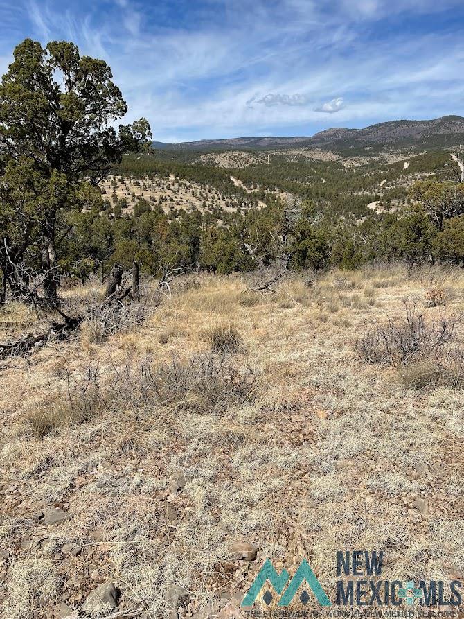 9 Bronco Drive, Timberon, New Mexico image 7