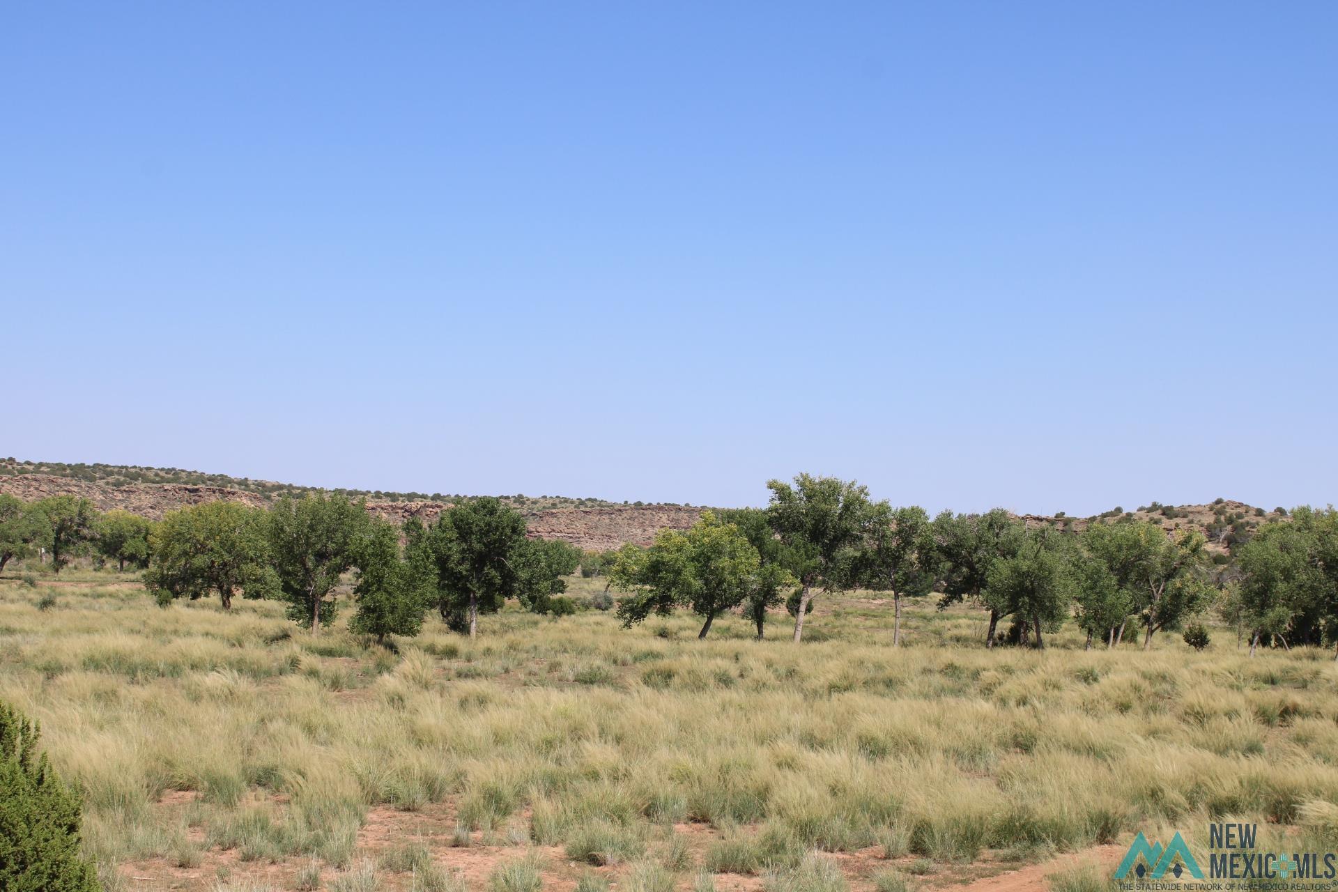 108 Pecos Valley Ranch, Santa Rosa, New Mexico image 14