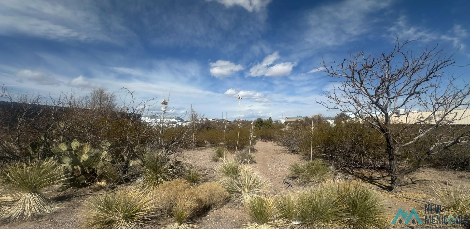 719 Erie Avenue, Elephant Butte, Texas image 1