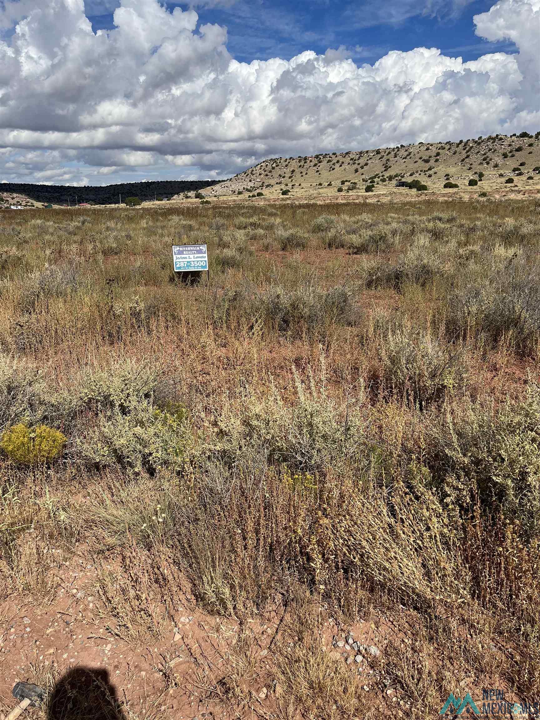 Red Flat Road, Grants, Texas image 7