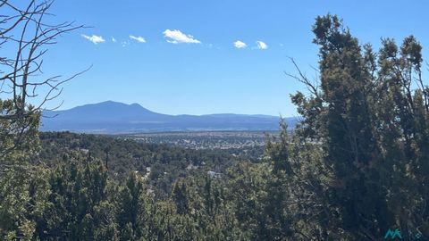 Vacant Land For Sale - 45 Pima Road<br/> Catron County, Quemado, NM 87829
