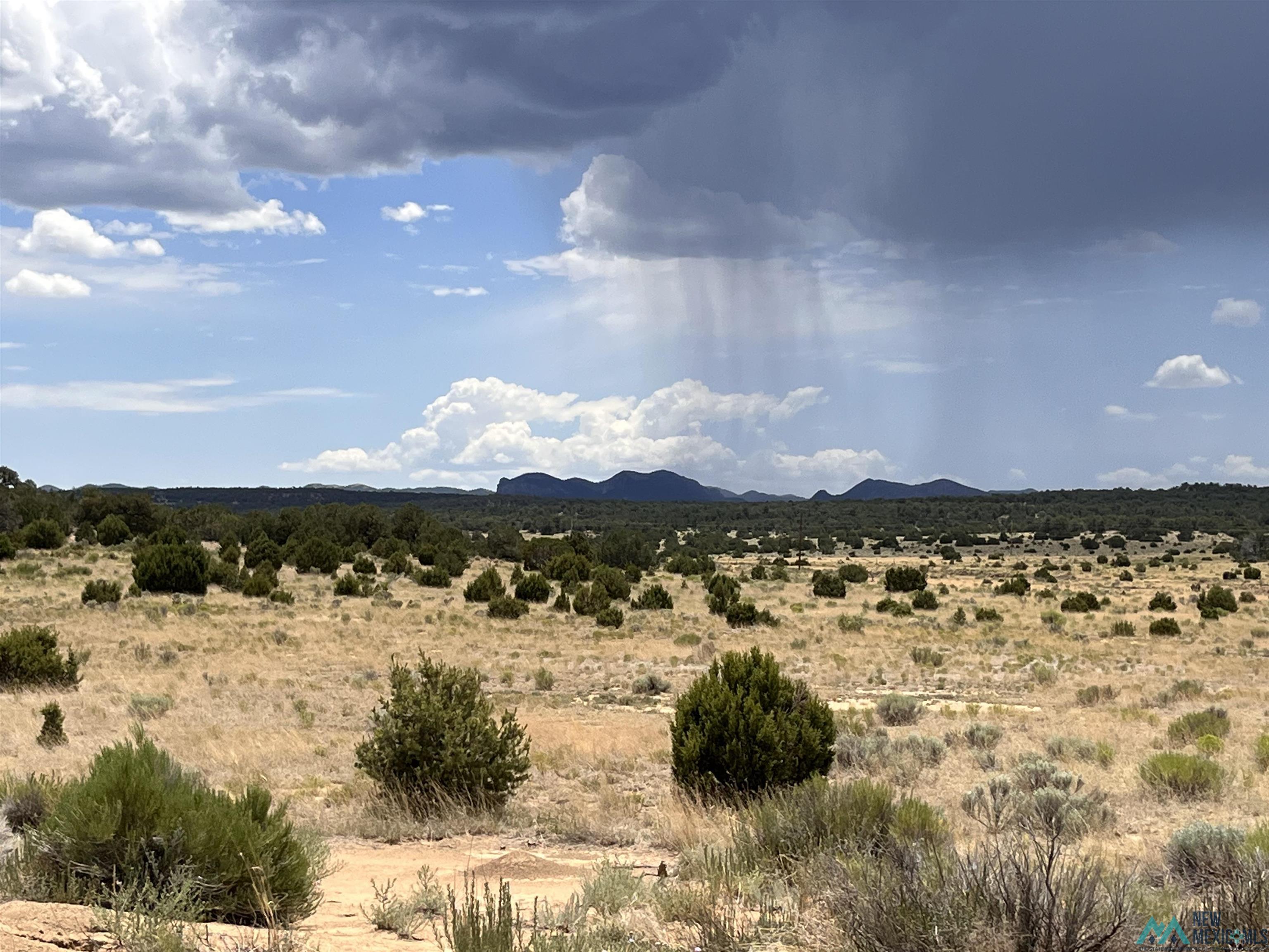 Lot 3 A&B Ponderosa Street, Pie Town, Texas image 15